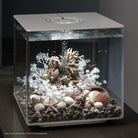 Sea Urchins Set of 3 - In Use