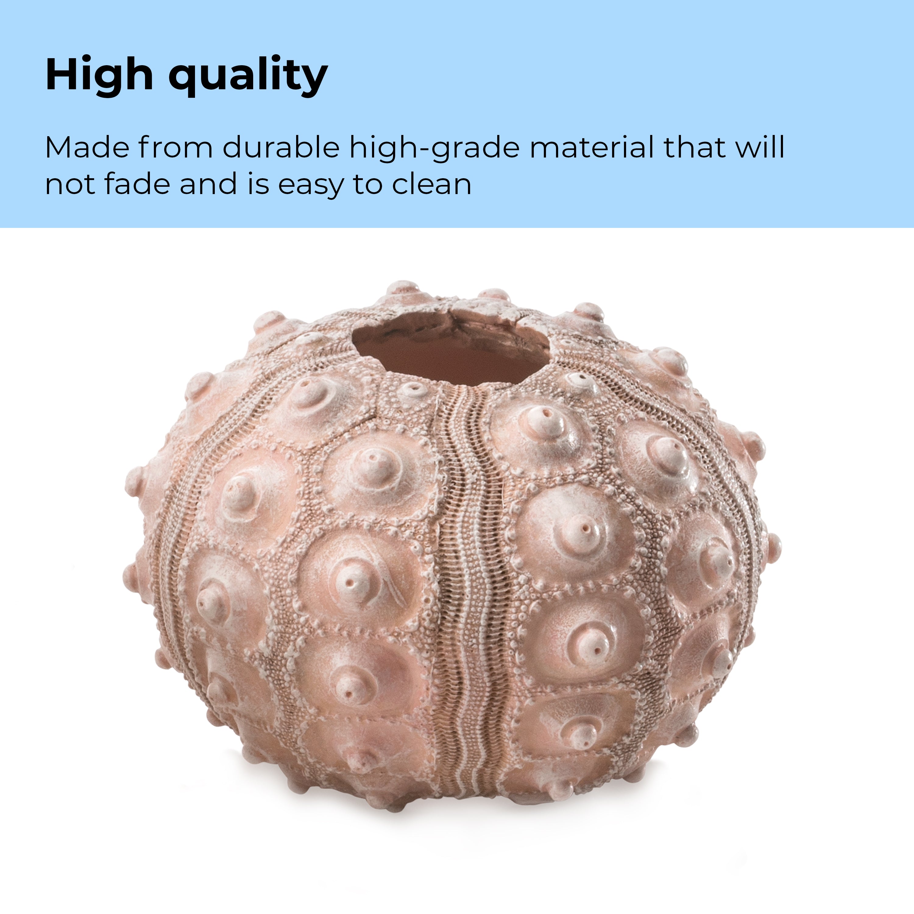 Sea Urchins Set of 3 - High quality
