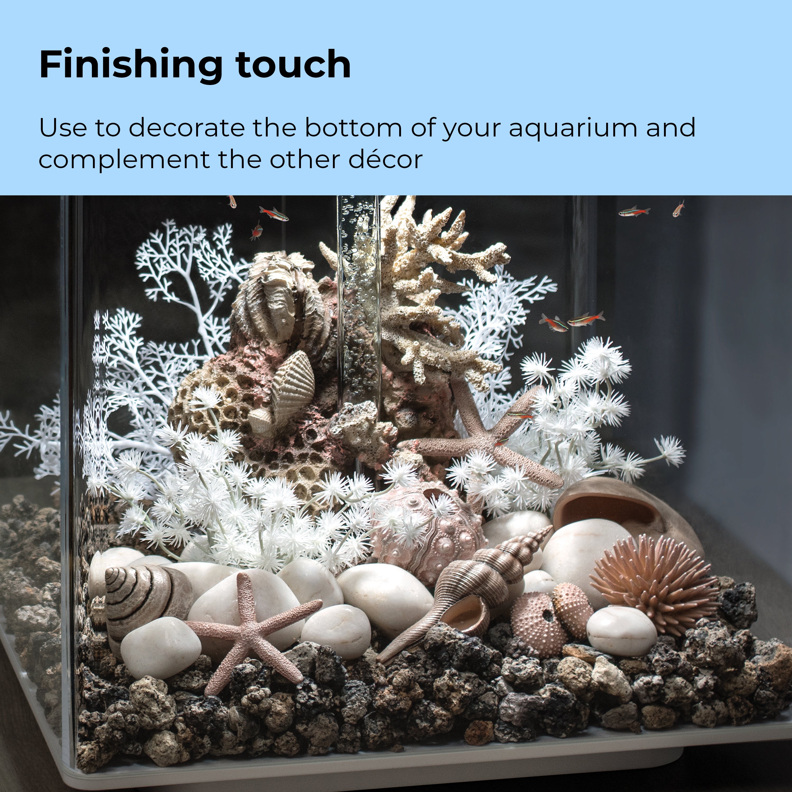 Sea Urchins Set of 3 - Finishing touch