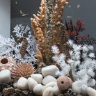 Sea Urchins Set of 3 - In Use