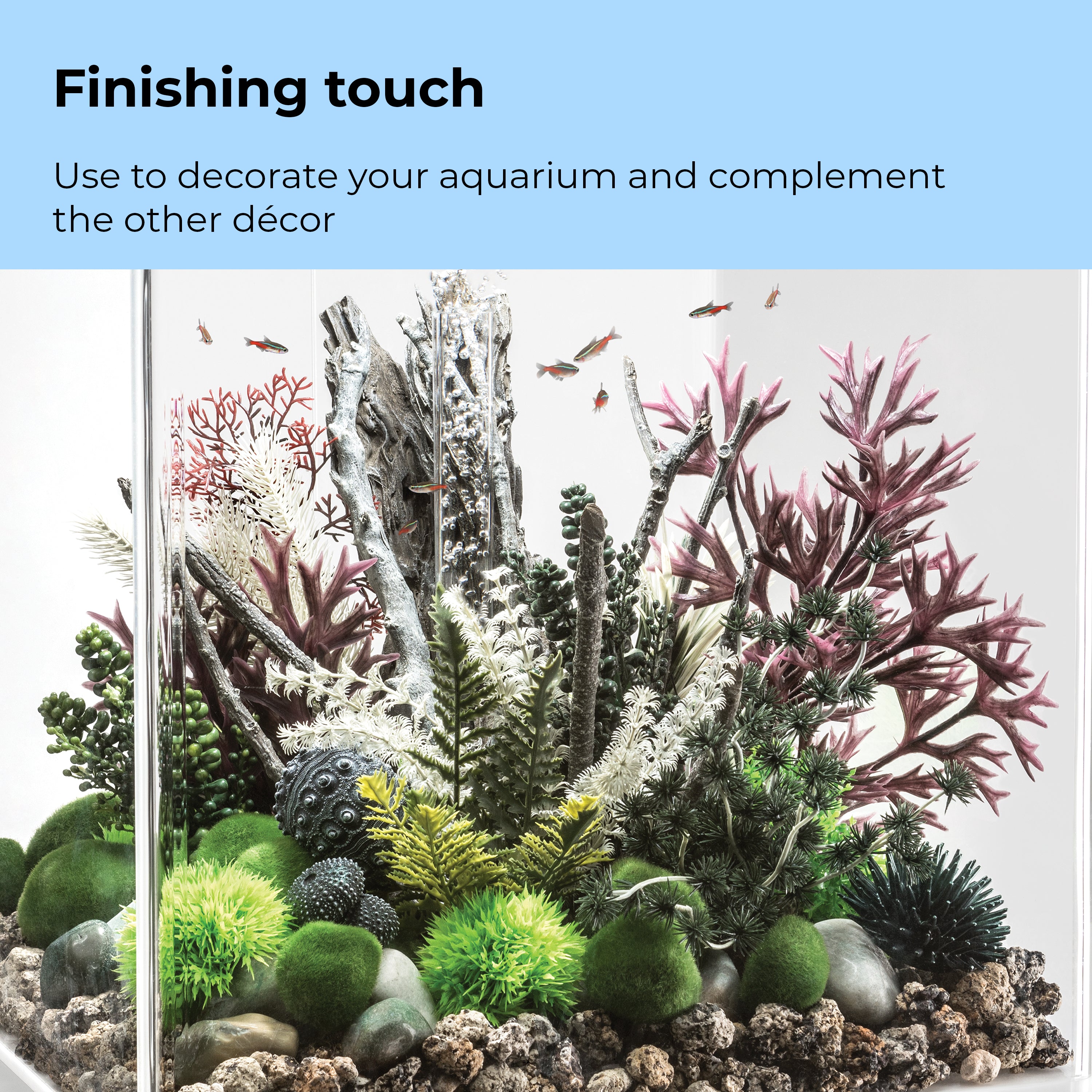 Amazonas Elements - Finishing touch