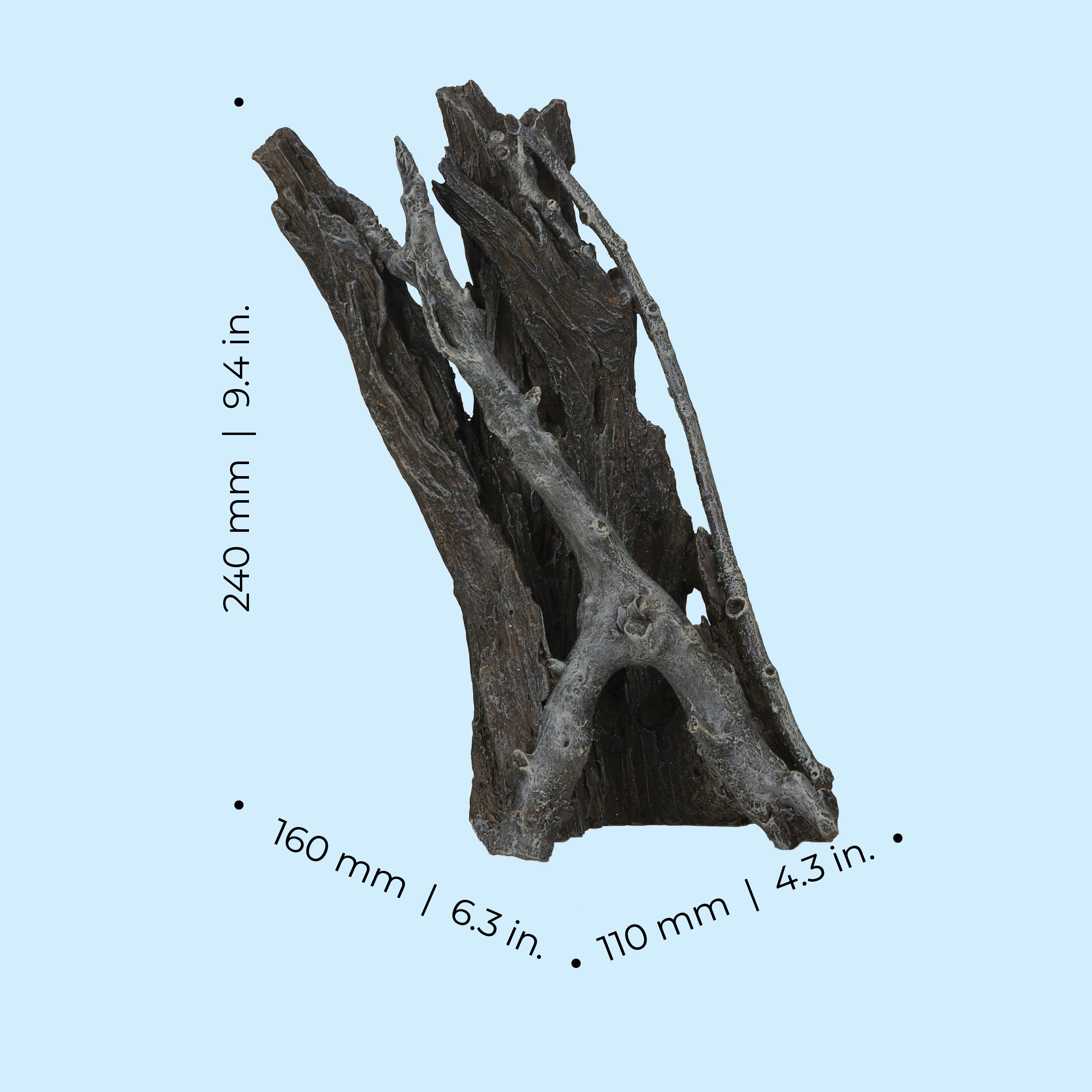 Medium Amazonas Root Sculpture - Dimensions