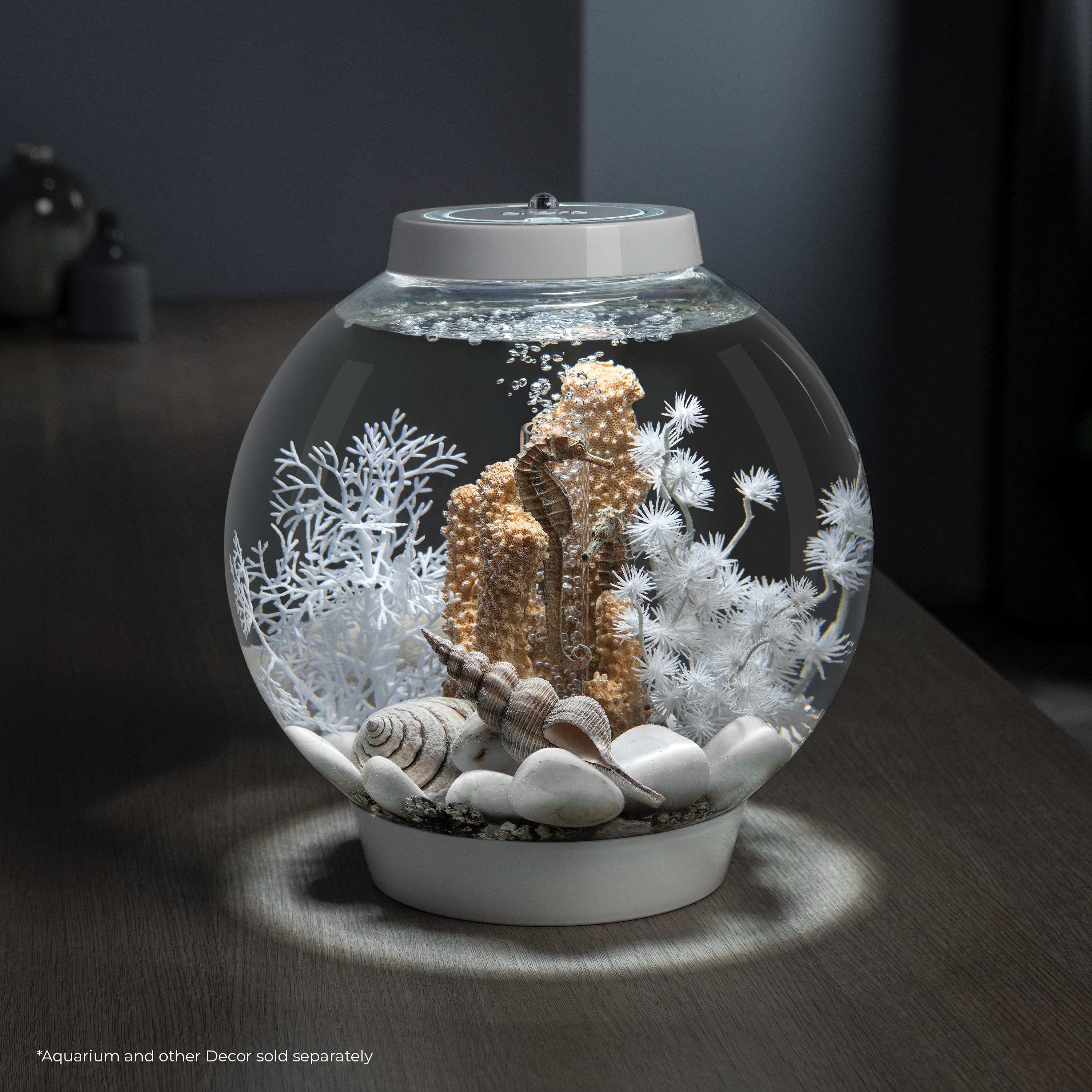 Small Seahorses on Coral Sculpture In Use