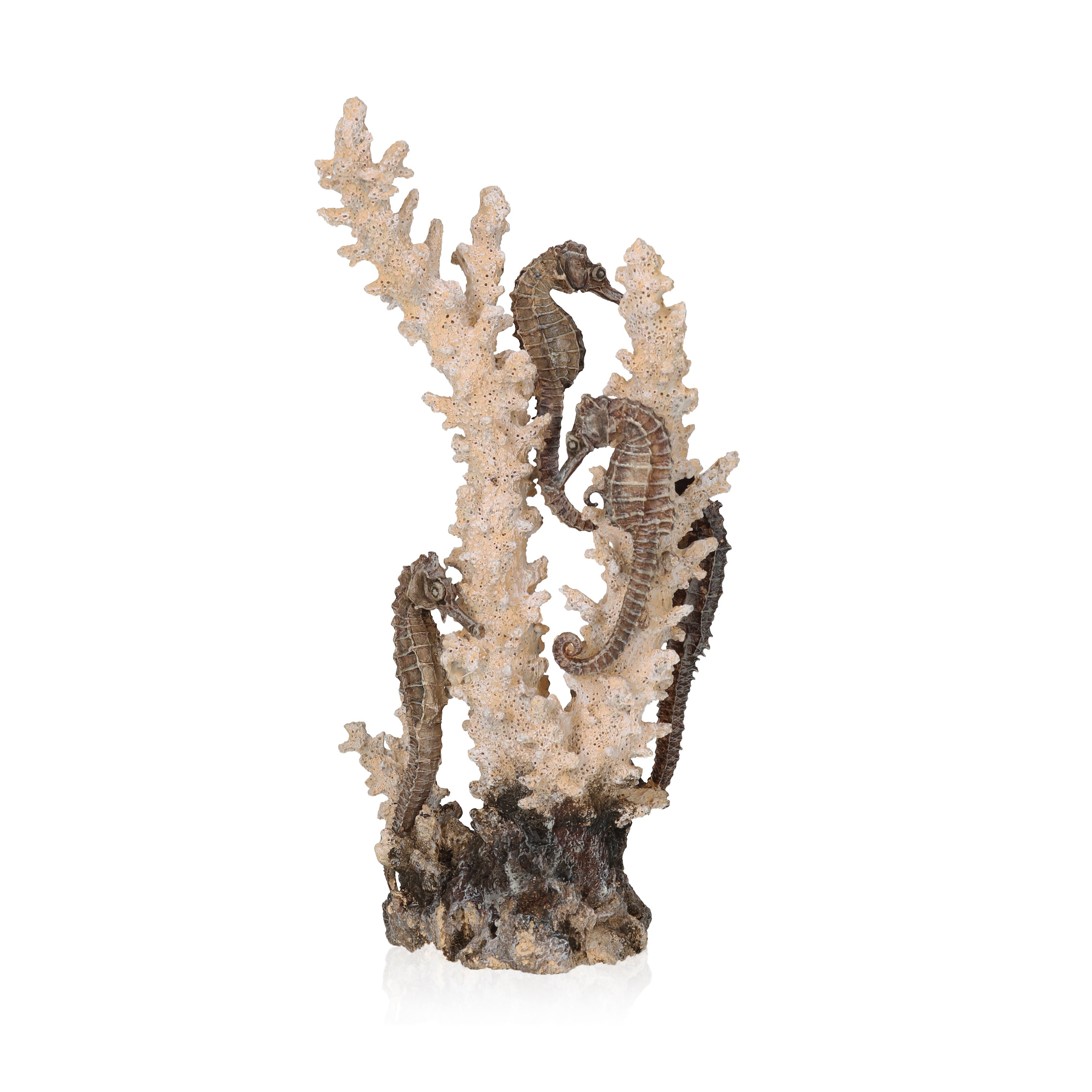 Medium Seahorses on Coral Sculpture - Natural