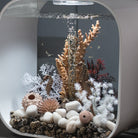 Medium Seahorses on Coral Sculpture In Use