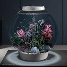 Medium Seahorses on Coral Sculpture In Use