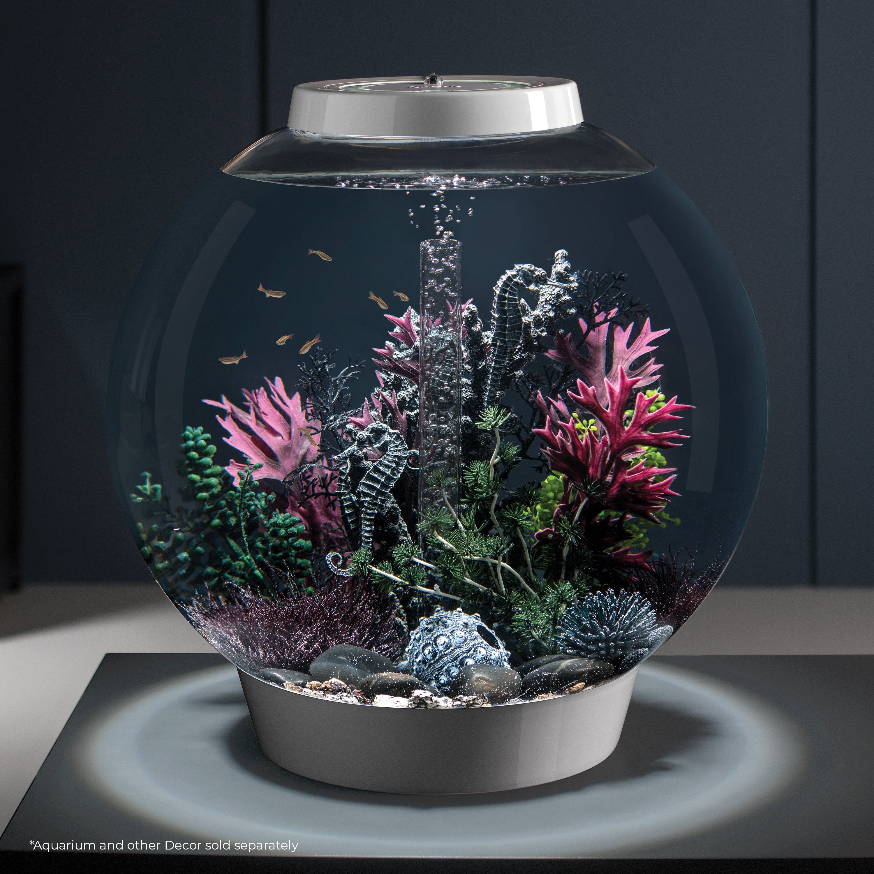 Medium Seahorses on Coral Sculpture In Use