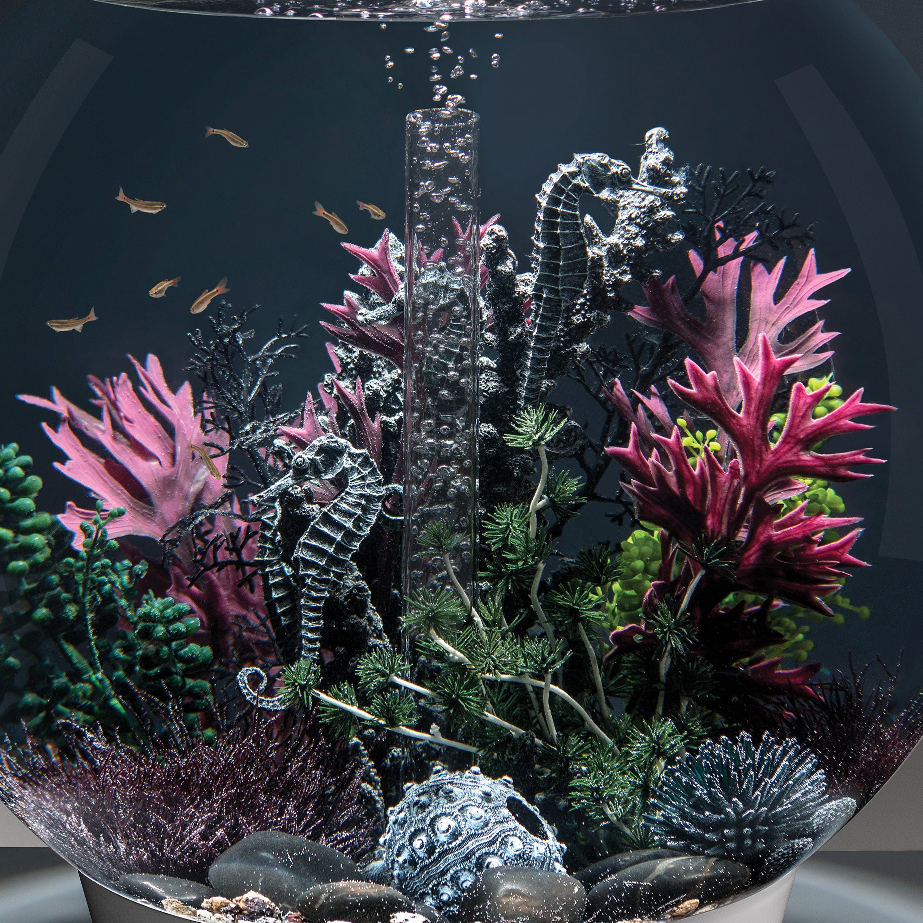 Medium Seahorses on Coral Sculpture In Use