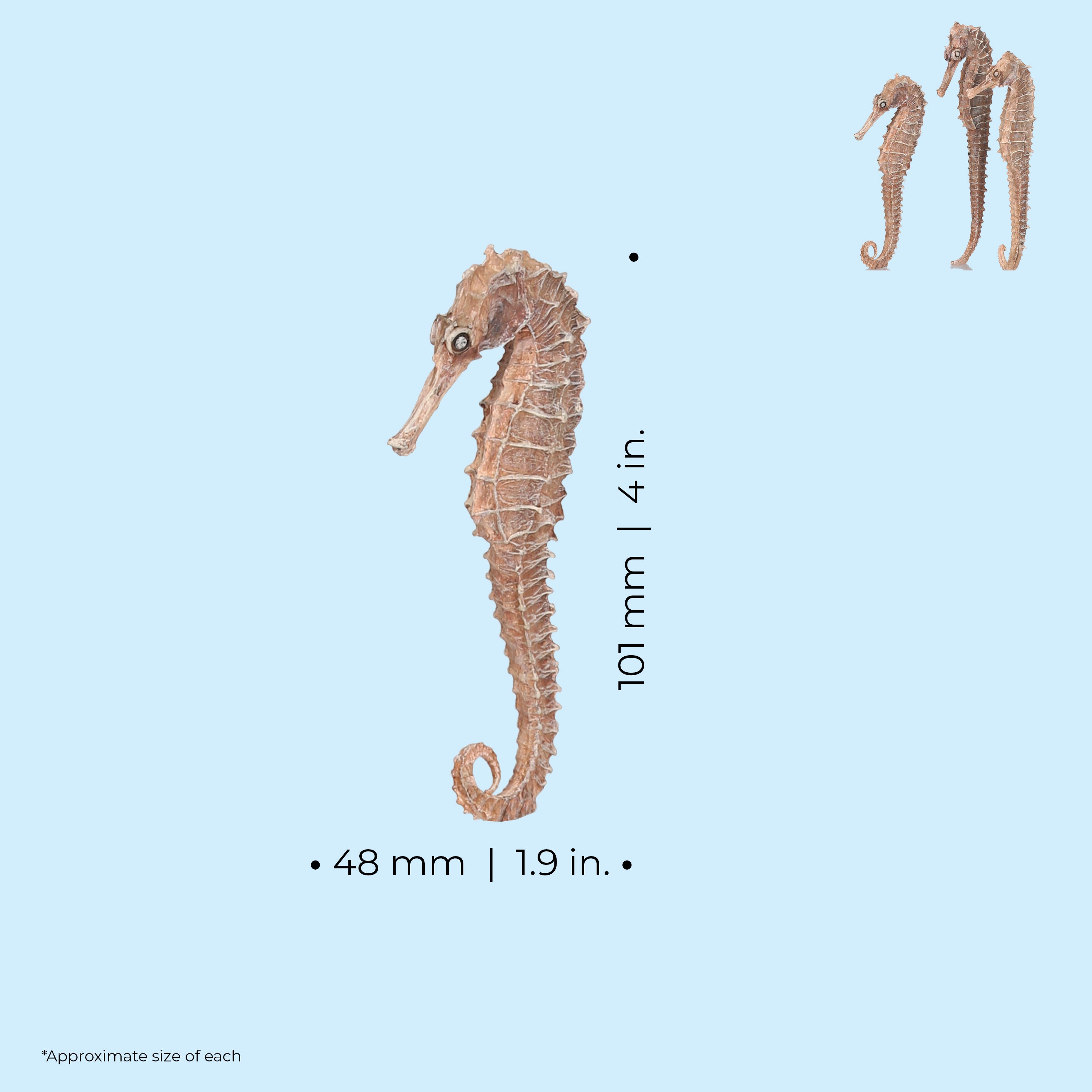 Seahorse Set of 3 - Dimensions