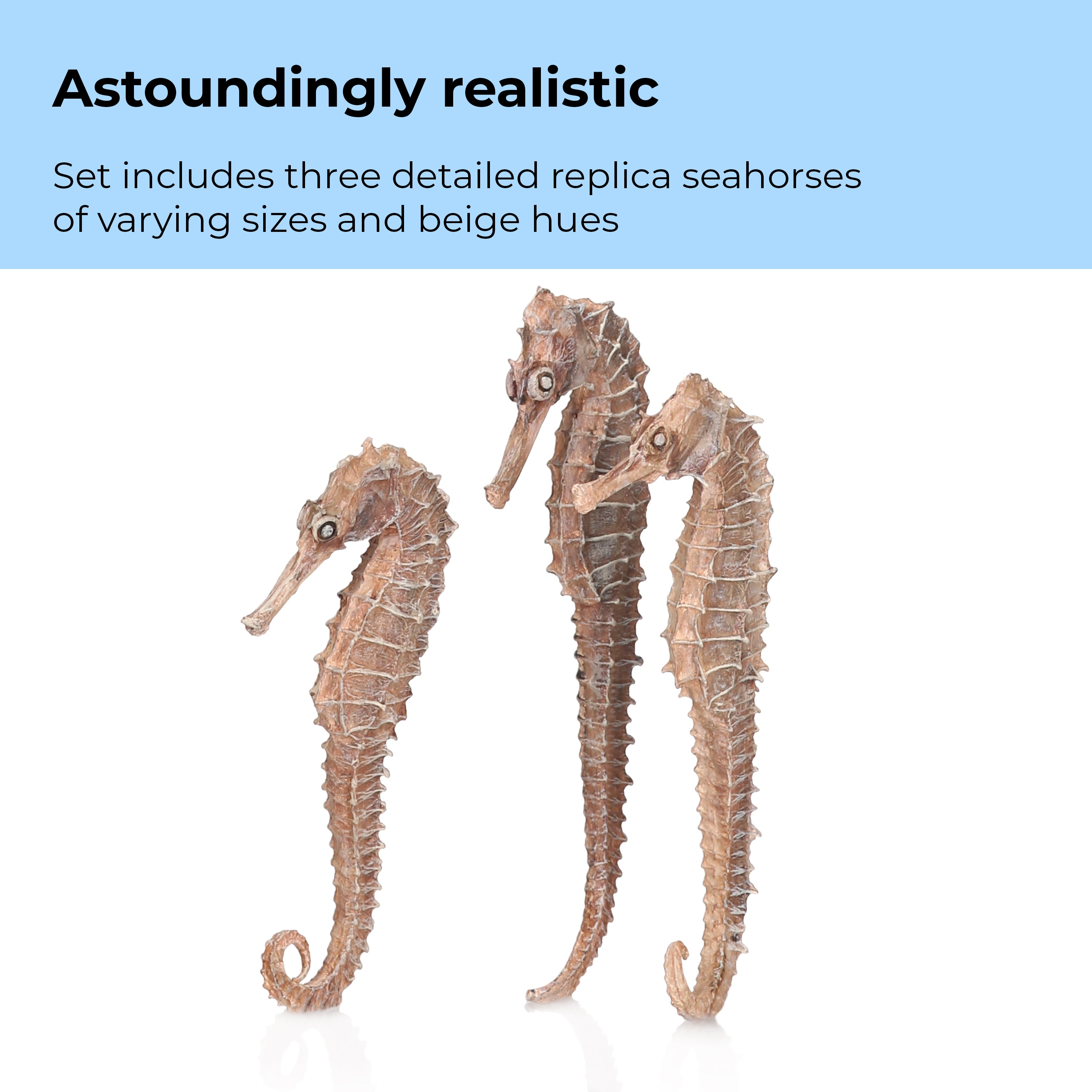 Seahorse Set of 3 - Astoundingly realistic