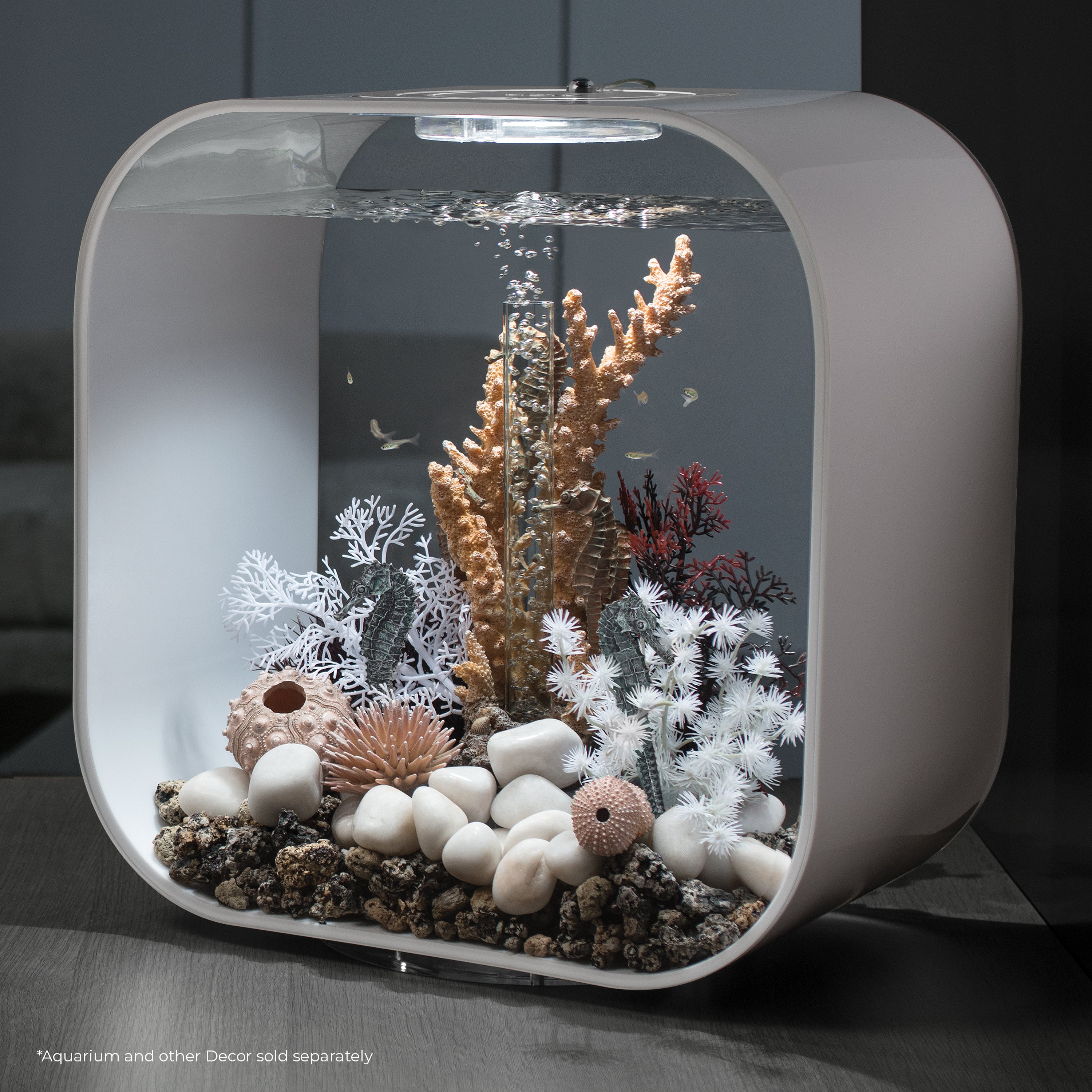 Seahorse Set of 3 In use