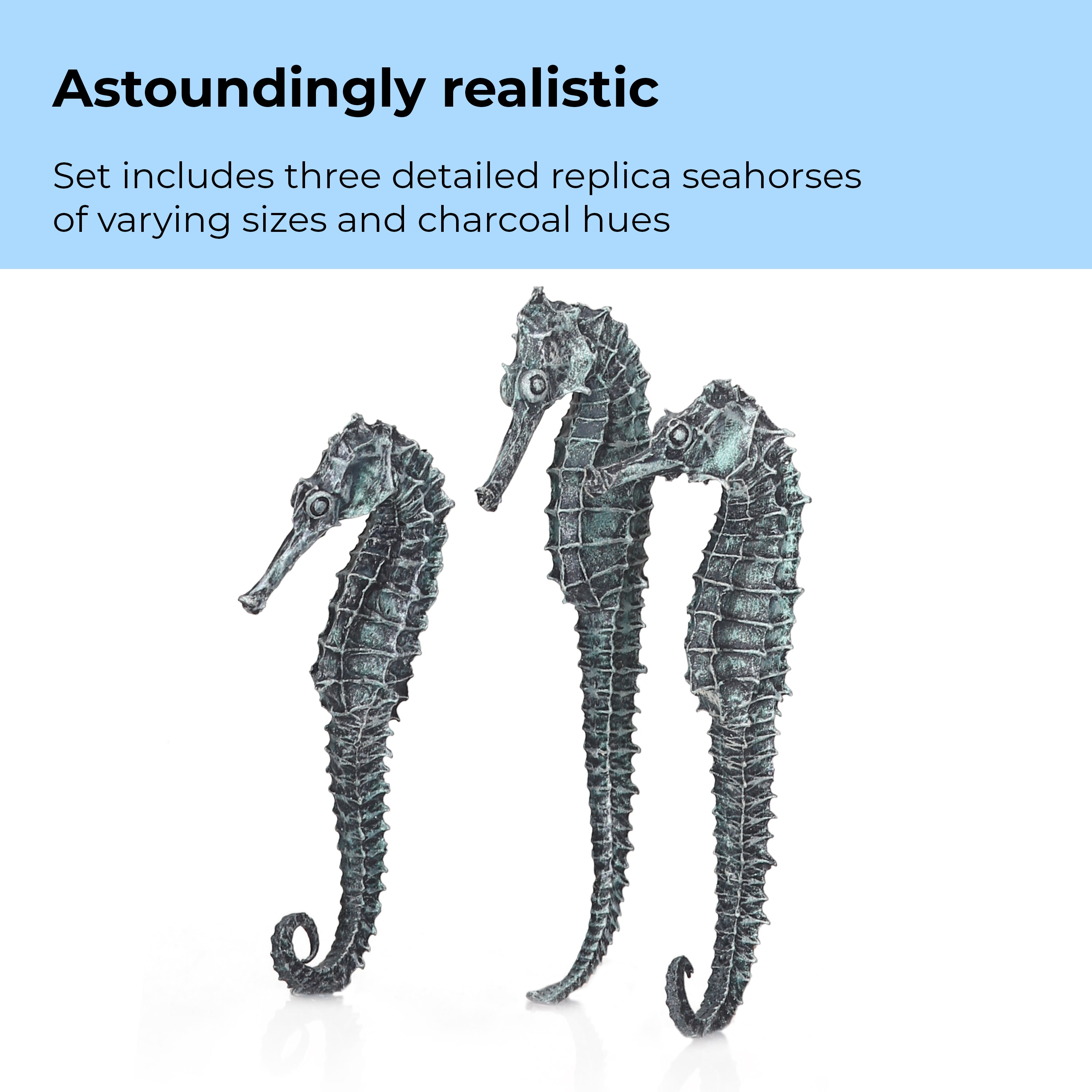 Seahorse Set of 3 - Astoundingly realistic
