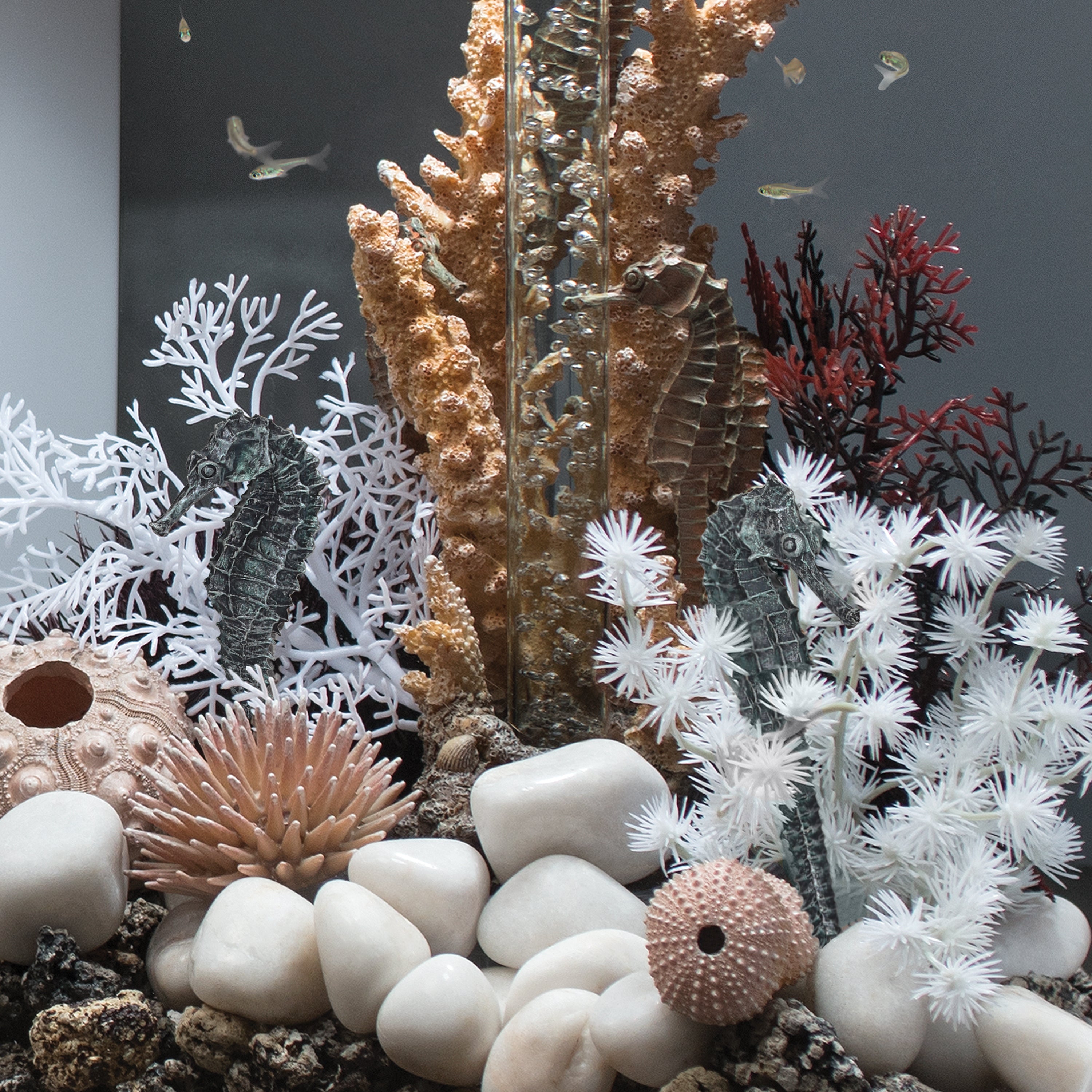 Seahorse Set of 3 - In use
