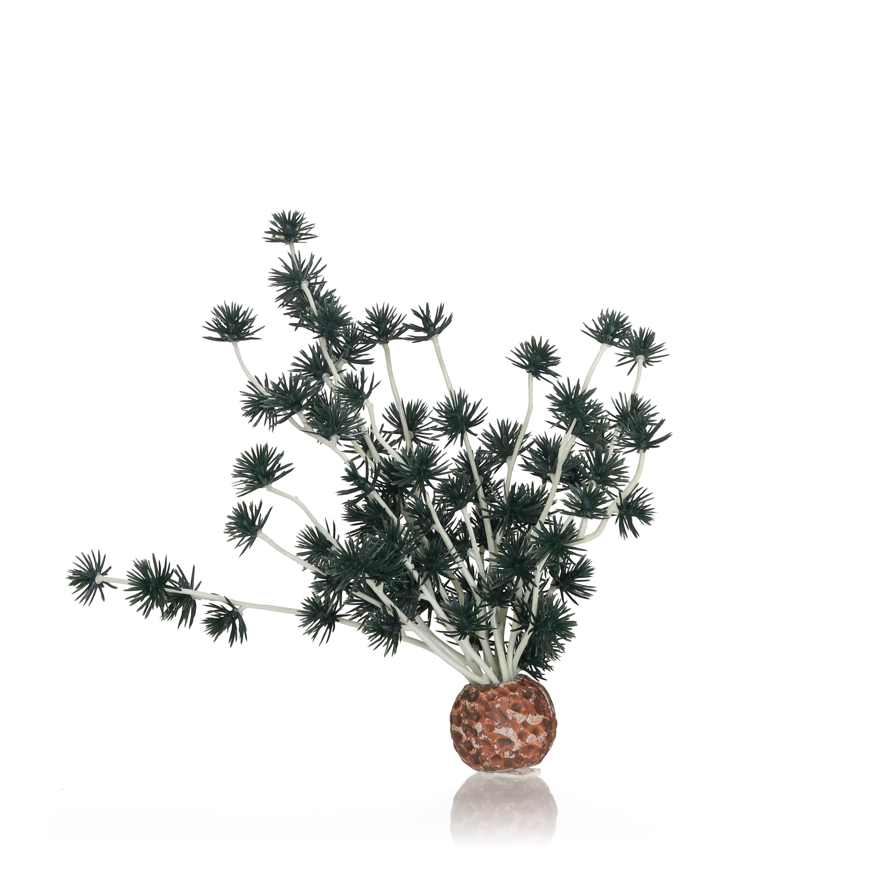 Bonsai Ball - Black
