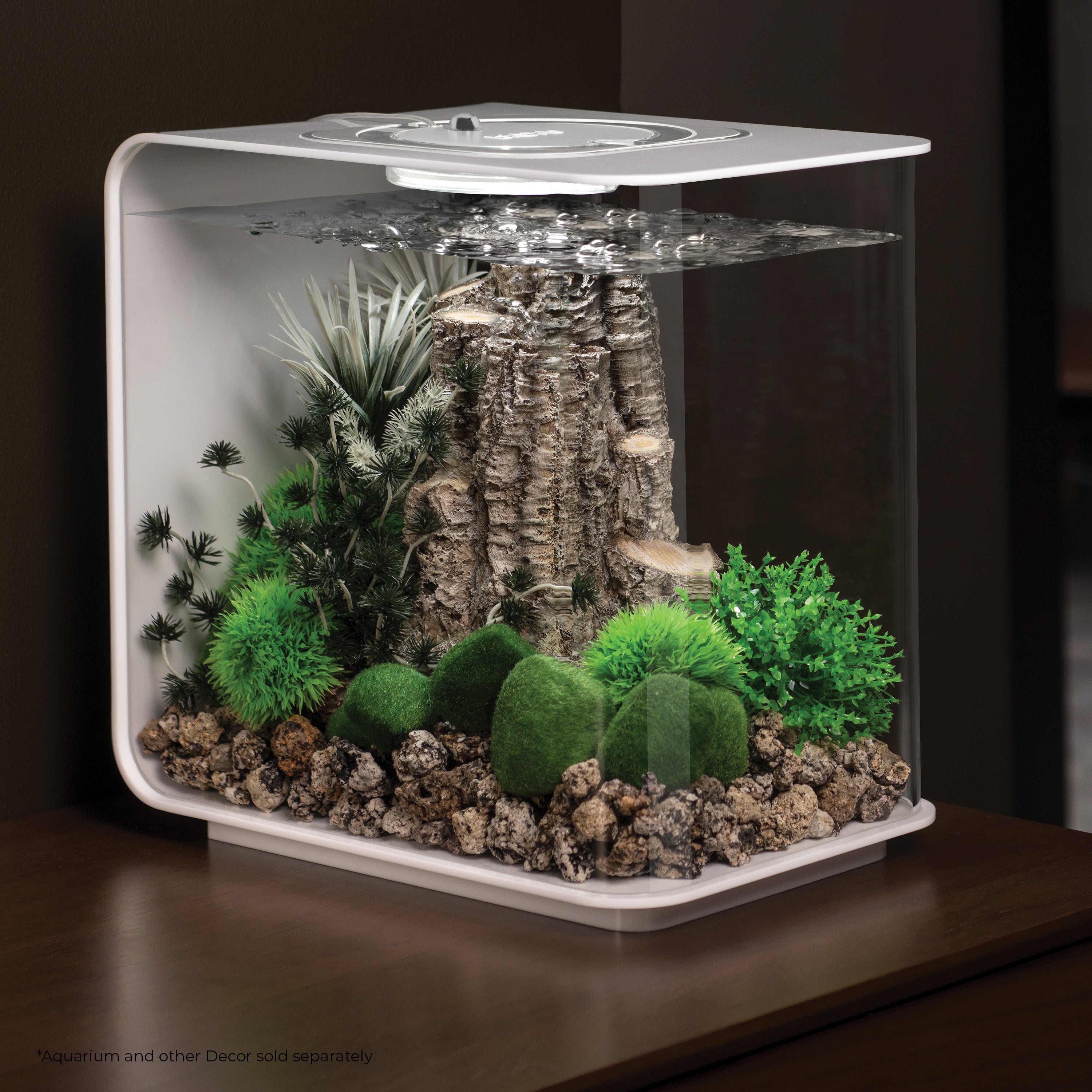 Bonsai Ball In Use