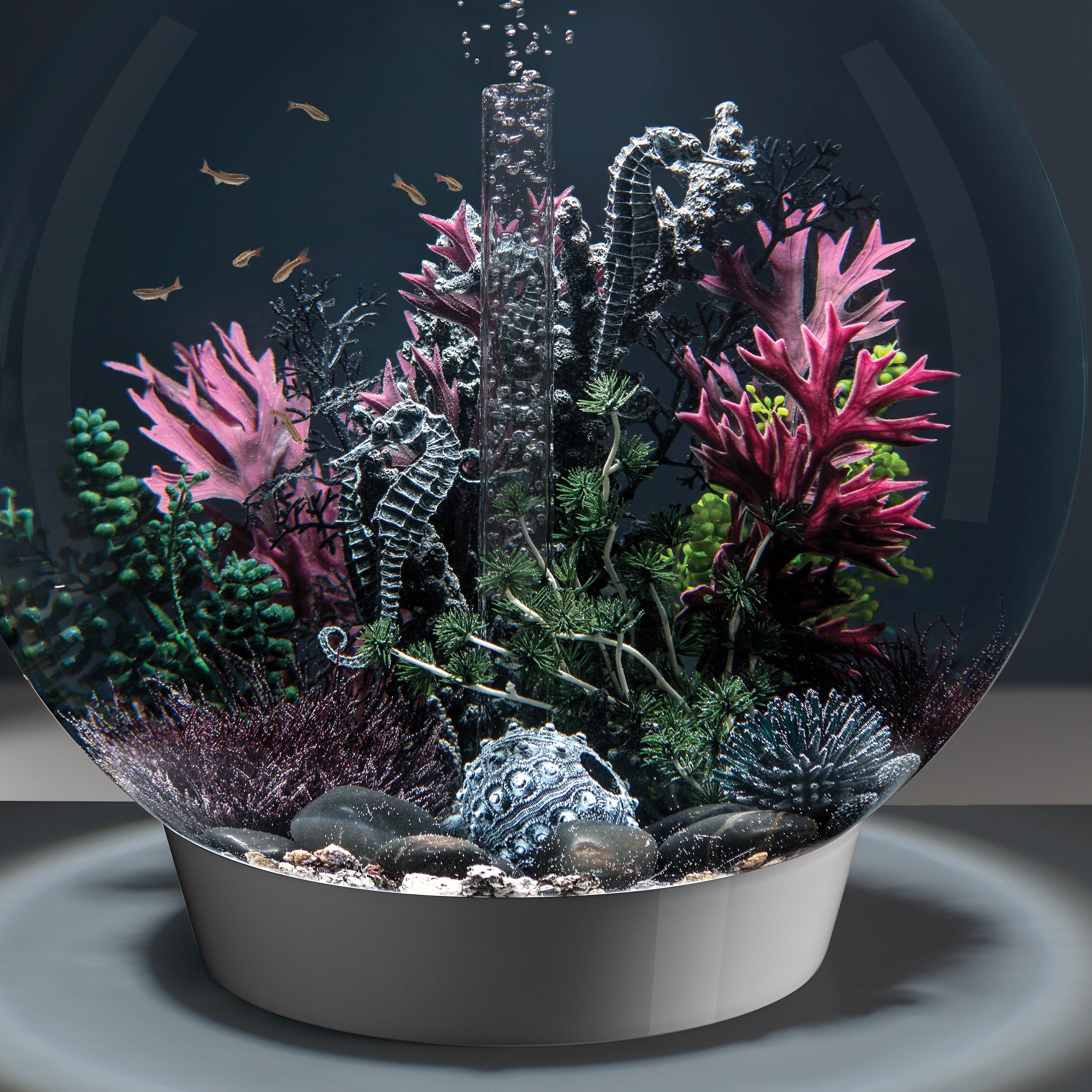Bonsai Ball In Use