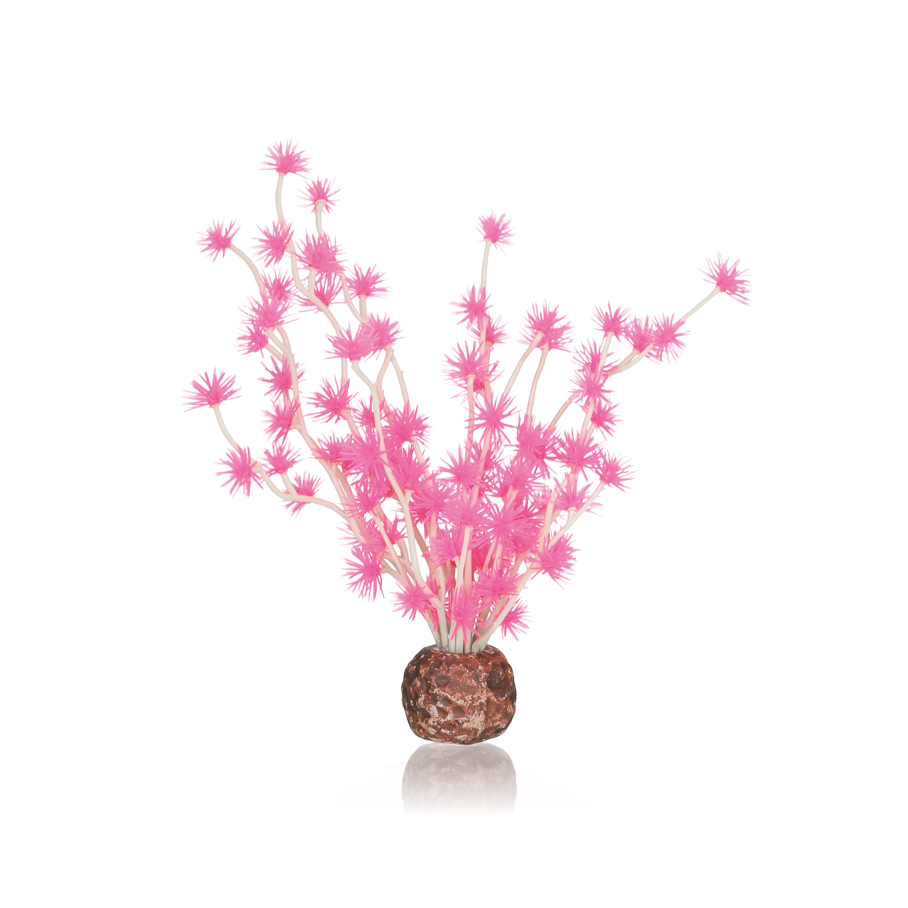 Bonsai Ball - Pink