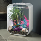 Bonsai Ball In Use