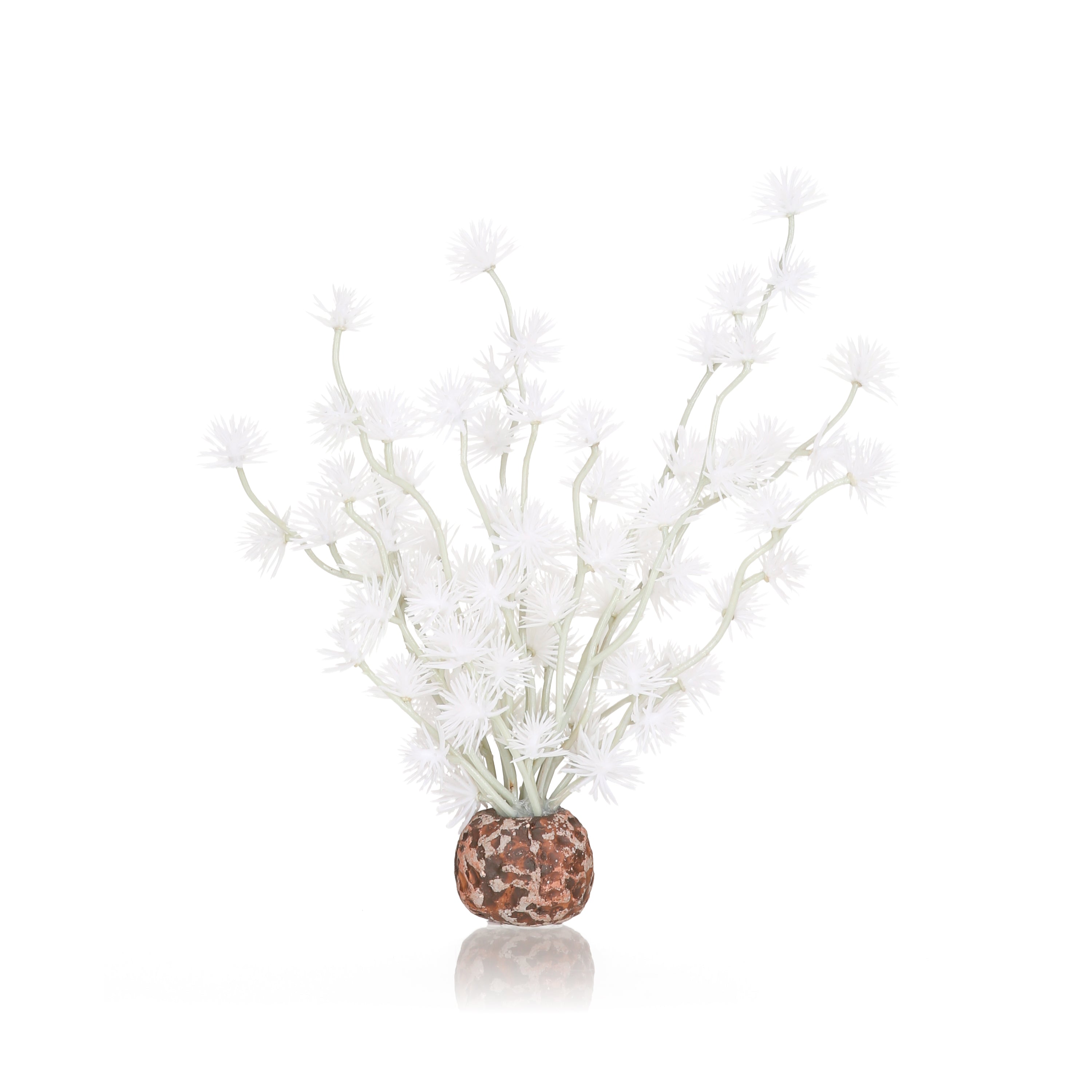 Bonsai Ball - White