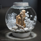 Bonsai Ball In Use
