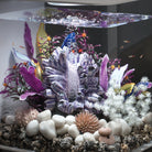 Bonsai Ball In Use