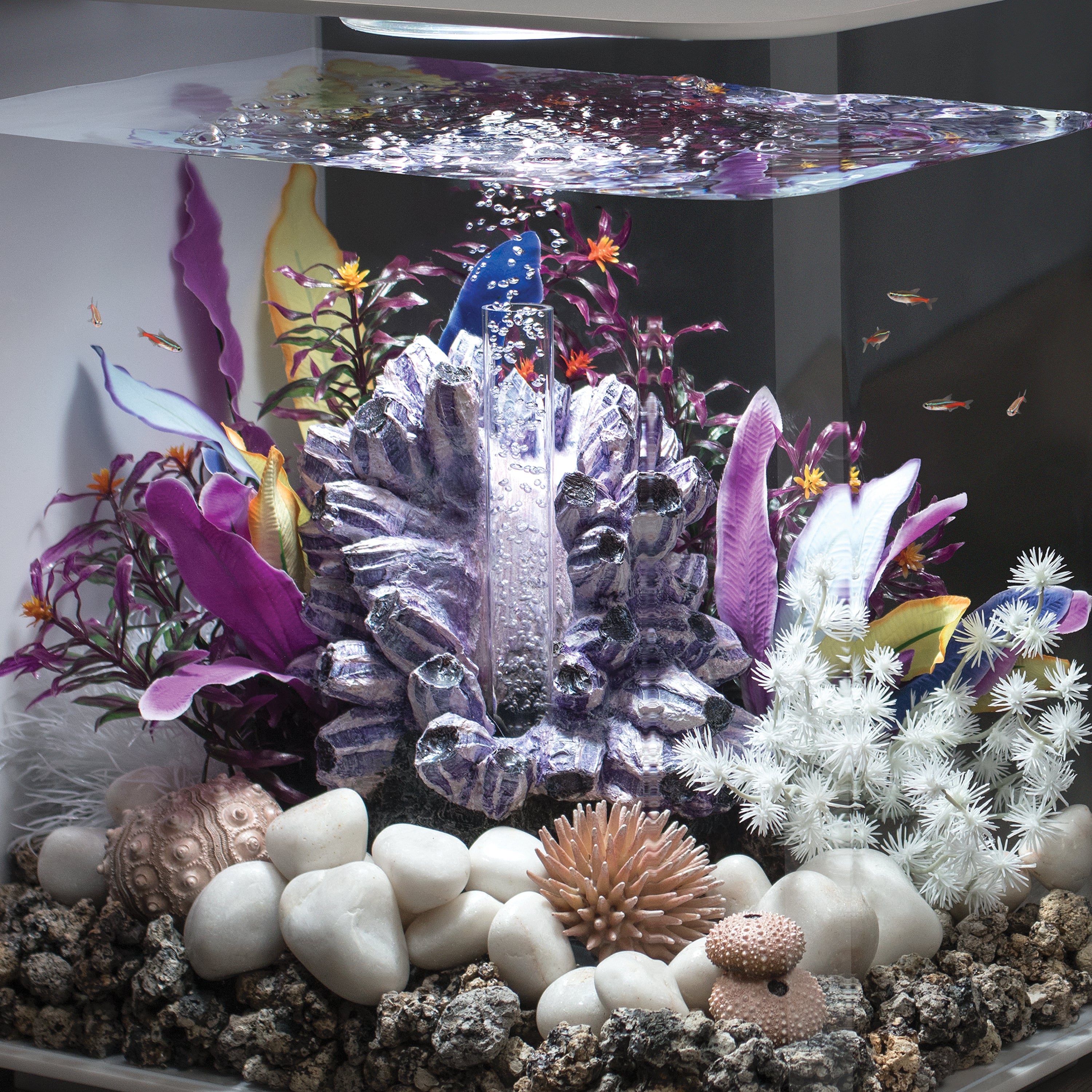 Bonsai Ball In Use