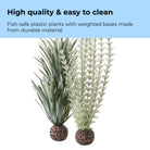 Small Grey & Green Ambulia Plant Set of 2 - High quality & easy to clean