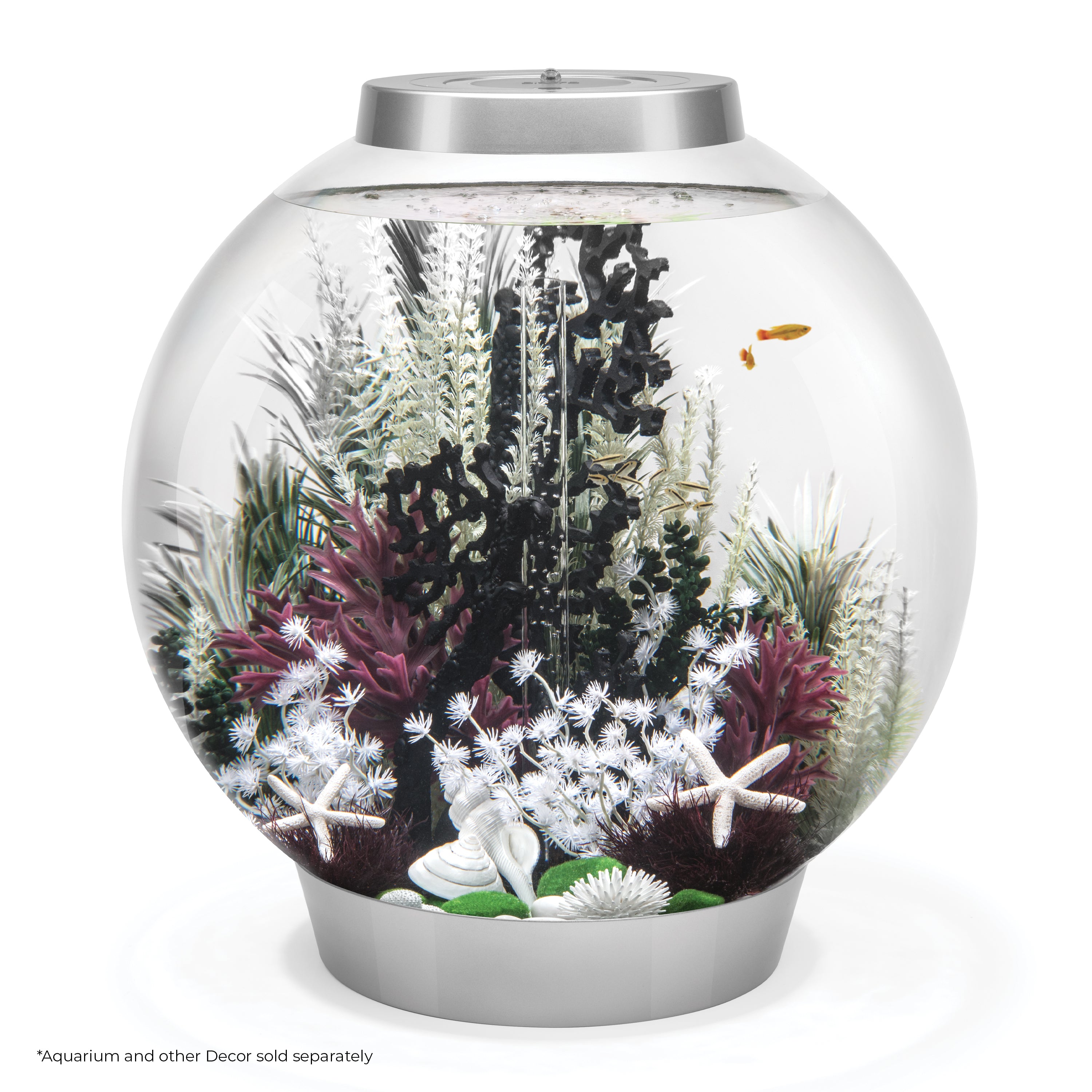 Medium Grey & Green Ambulia Plant Set of 2 In Use