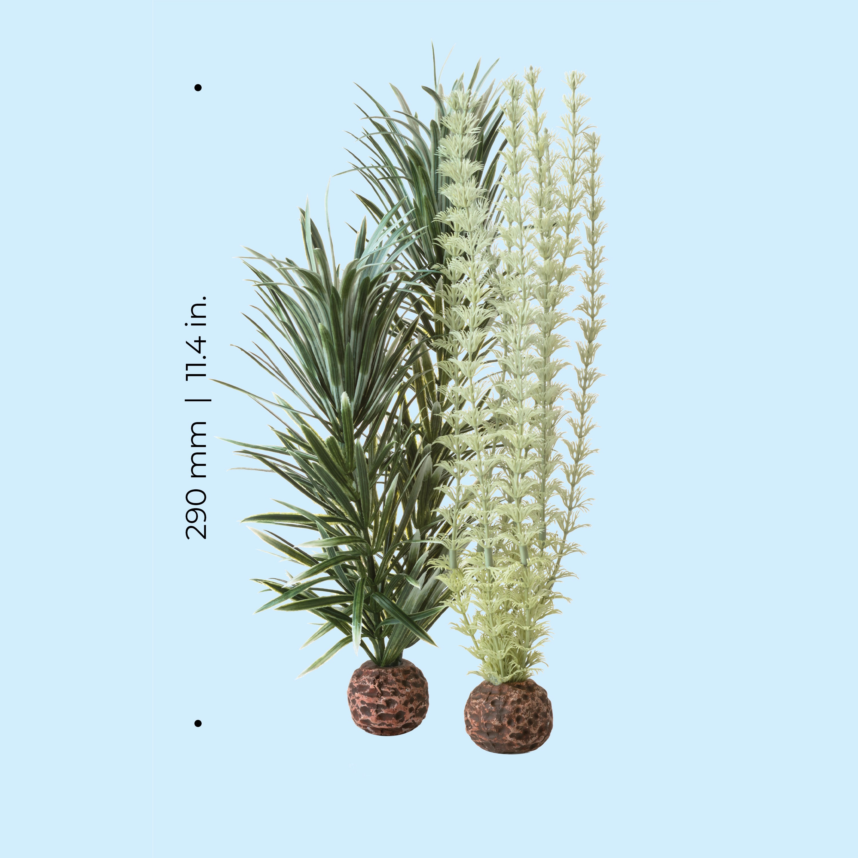 Medium Grey & Green Ambulia Plant Set of 2 - Dimensions