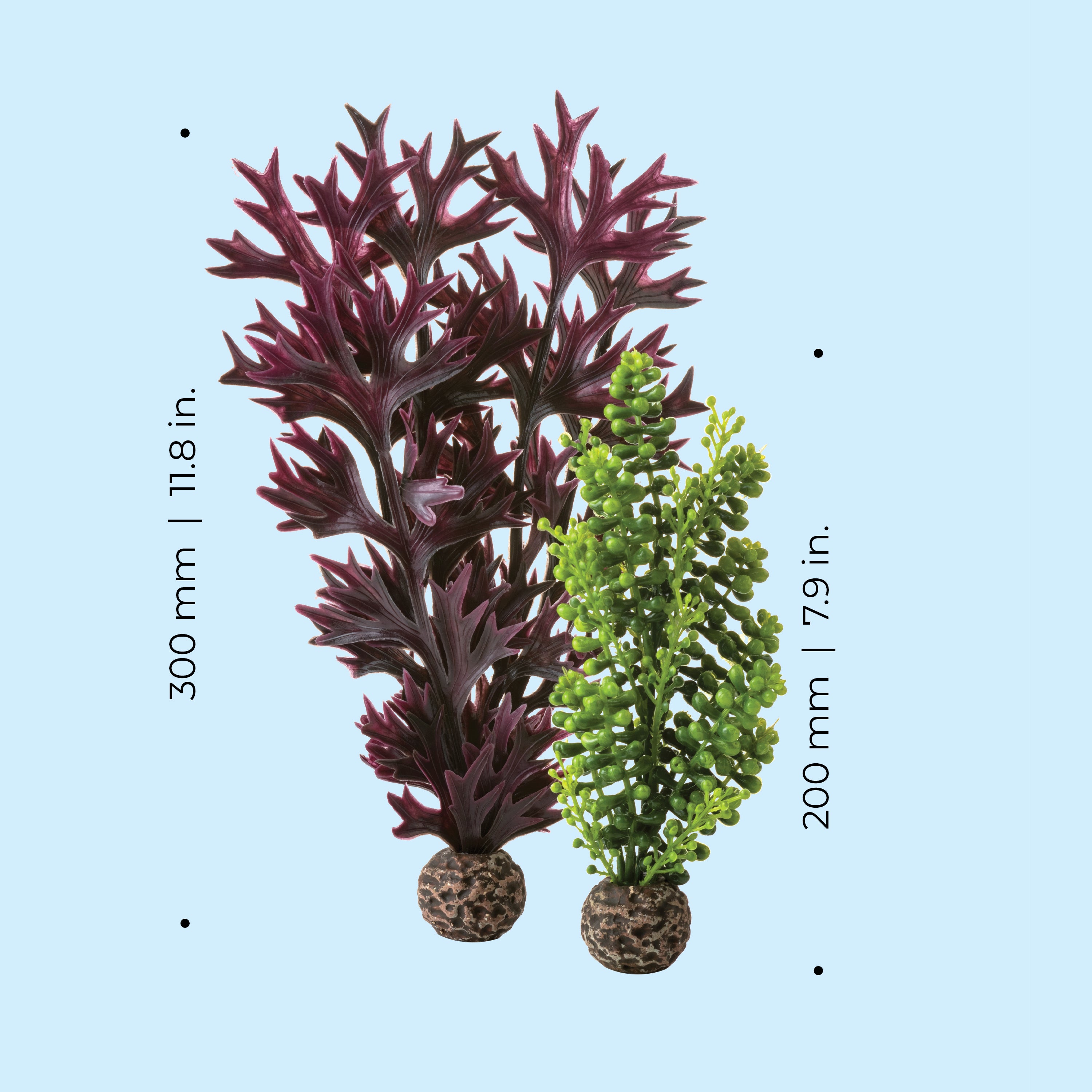 Medium Seapearls & Kelp Plant Set of 2 - Dimensions