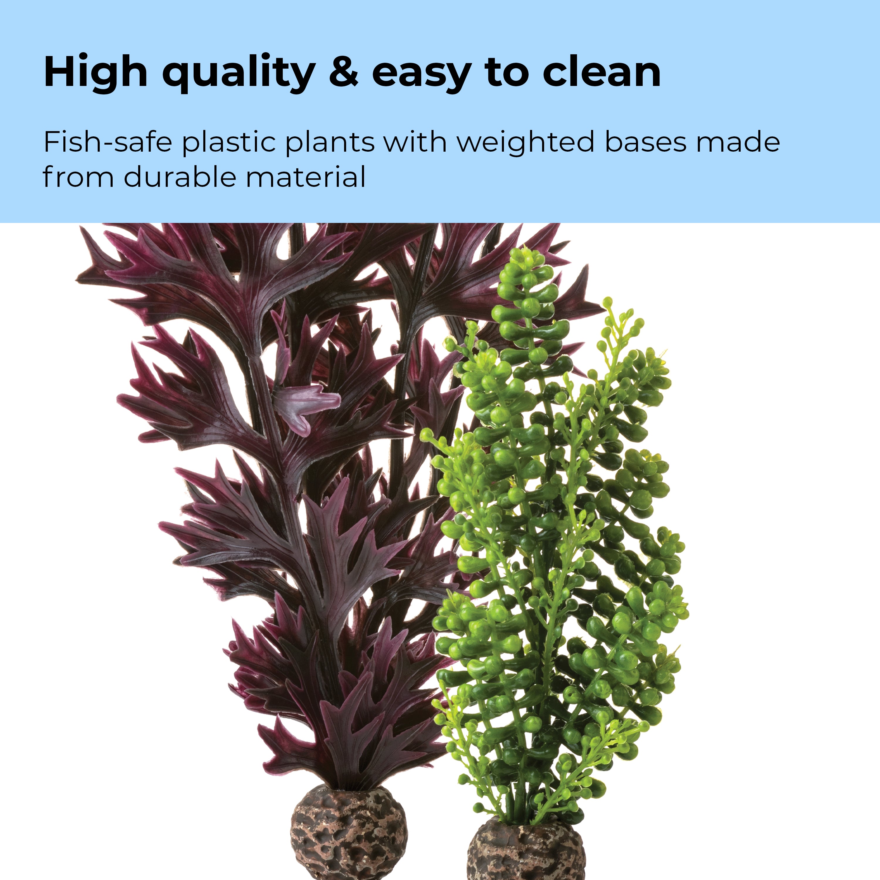 Medium Seapearls & Kelp Plant Set of 2 - High quality & easy to clean