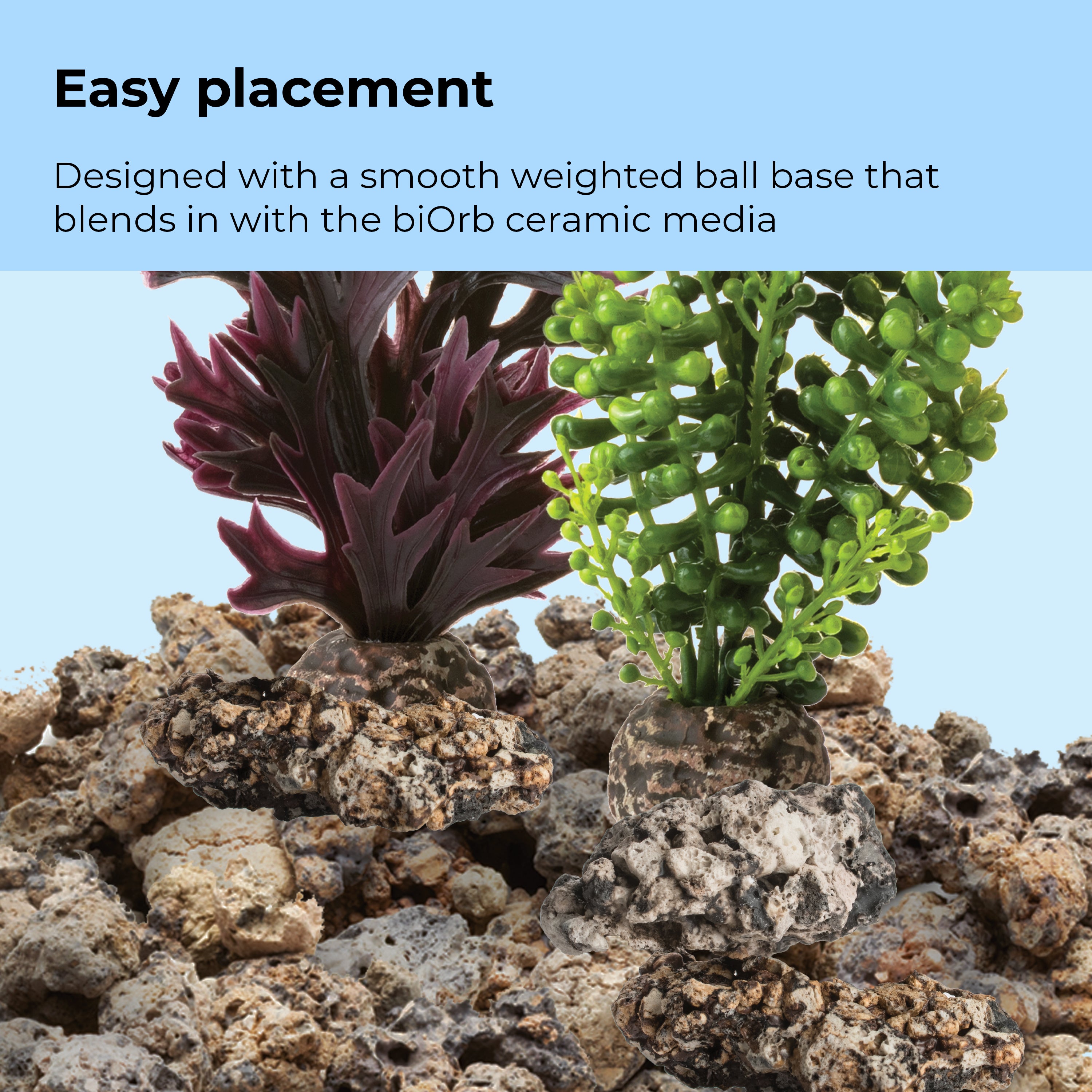 Medium Seapearls & Kelp Plant Set of 2 - Easy placement