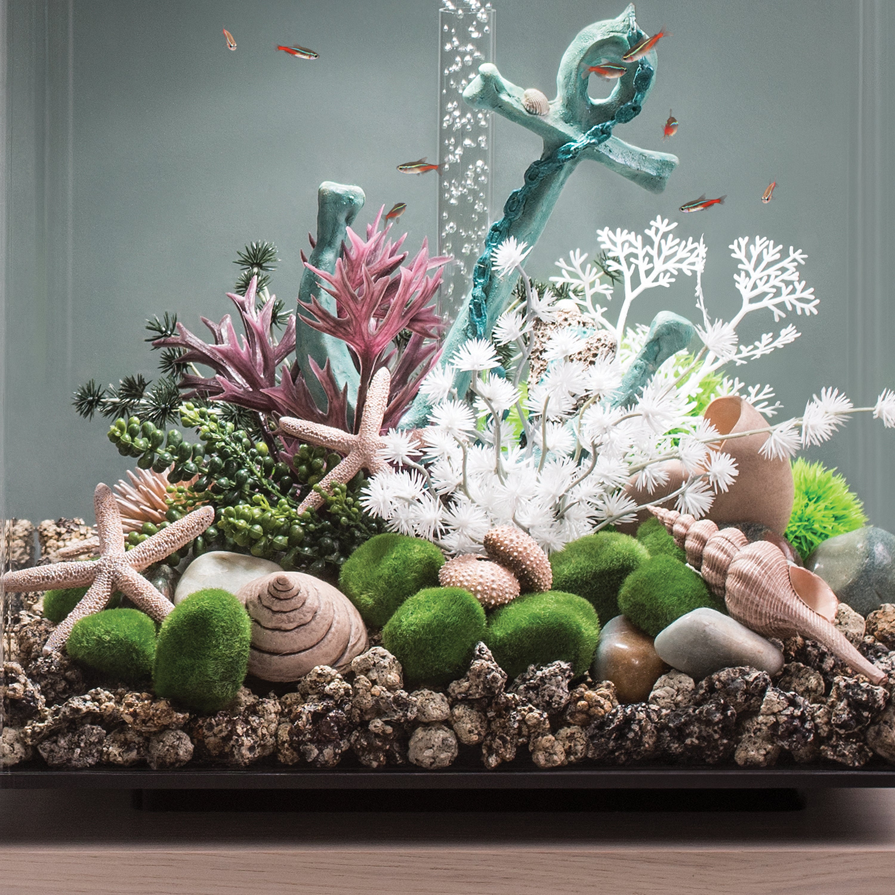 Medium Seapearls & Kelp Plant Set of 2 - In Use