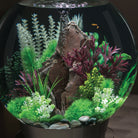 Medium Seapearls & Kelp Plant Set of 2 - In Use