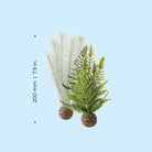 Small Grey & Green Thistle Fern Plant Set of 2 - Dimensions