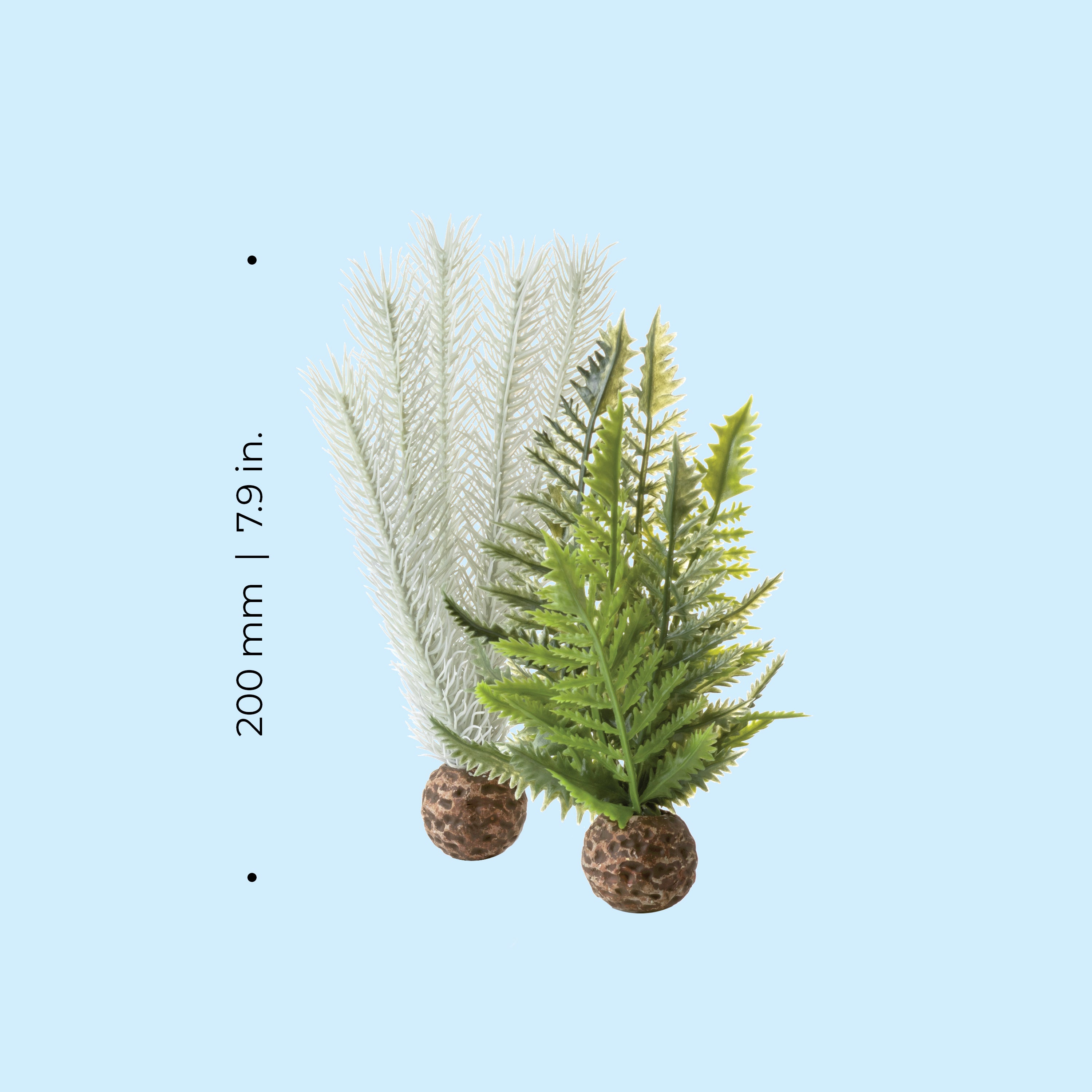 Small Grey & Green Thistle Fern Plant Set of 2 - Dimensions