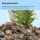 Small Grey & Green Thistle Fern Plant Set of 2 - Easy placement
