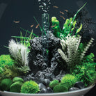 Small Grey & Green Thistle Fern Plant Set of 2 - In Use