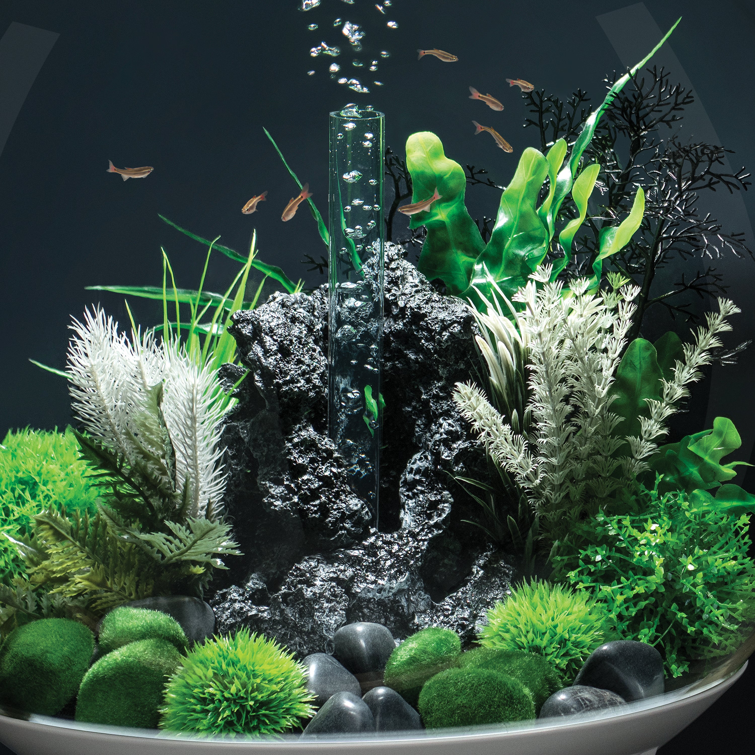 Small Grey & Green Thistle Fern Plant Set of 2 - In Use