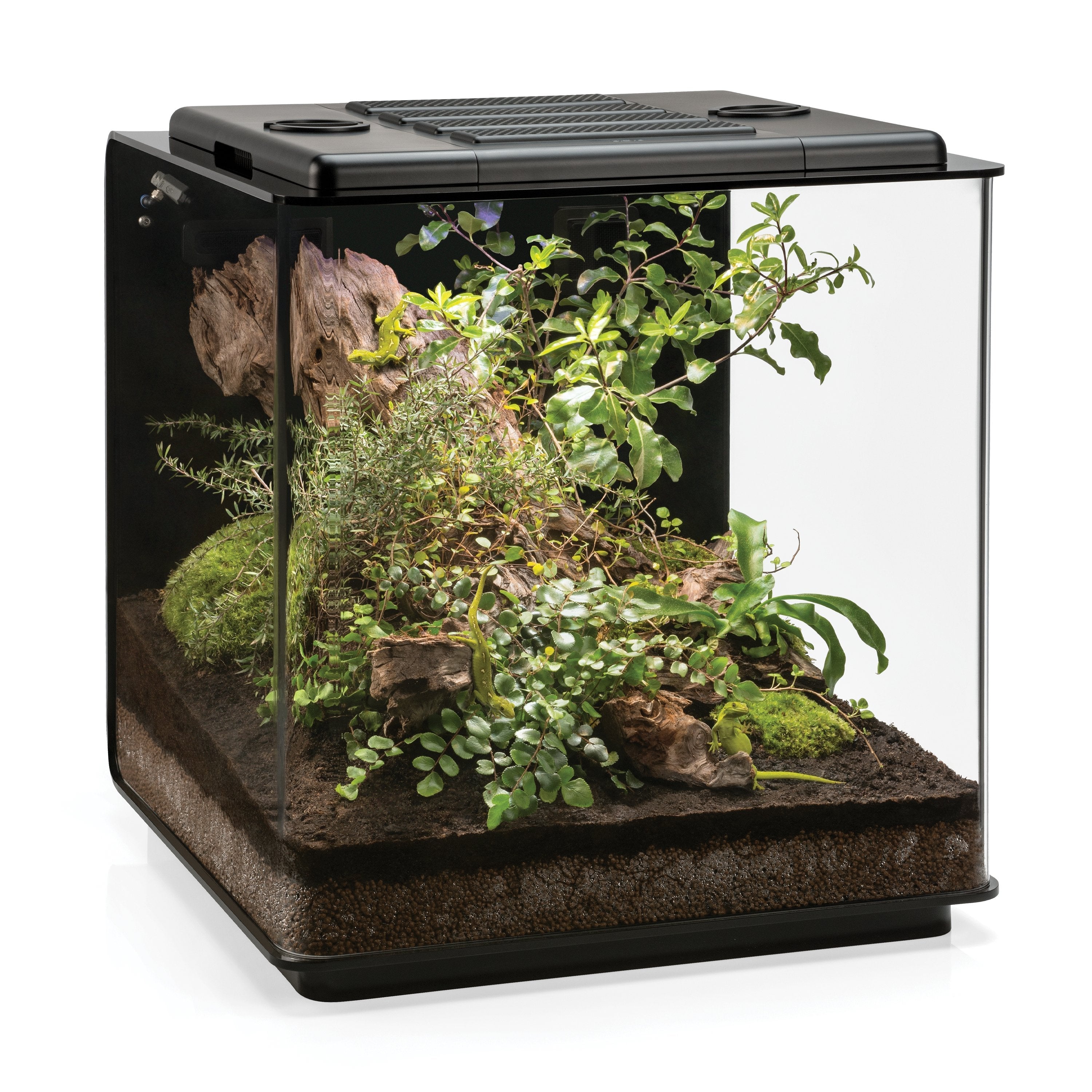 EARTH Vivarium