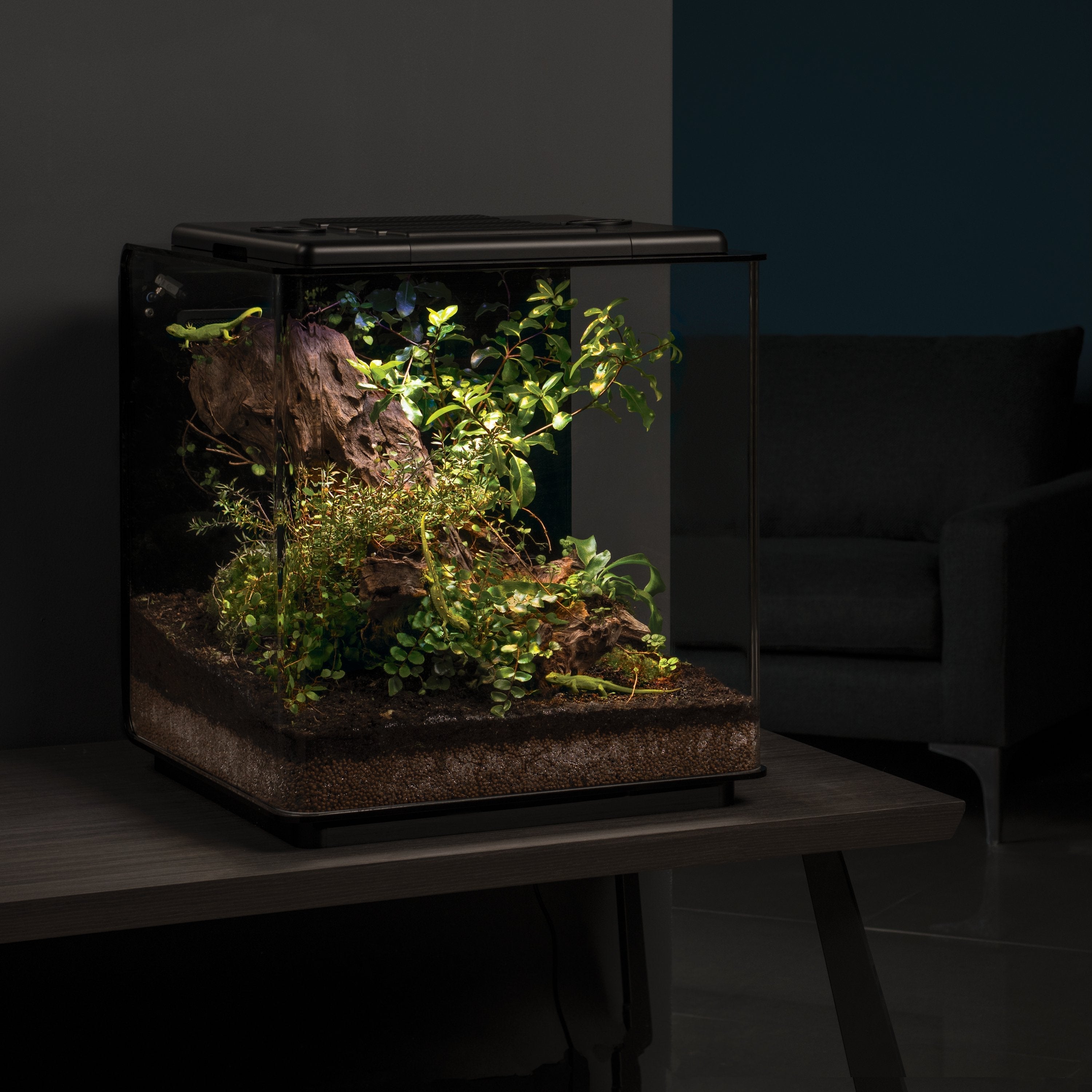 EARTH Vivarium in Use