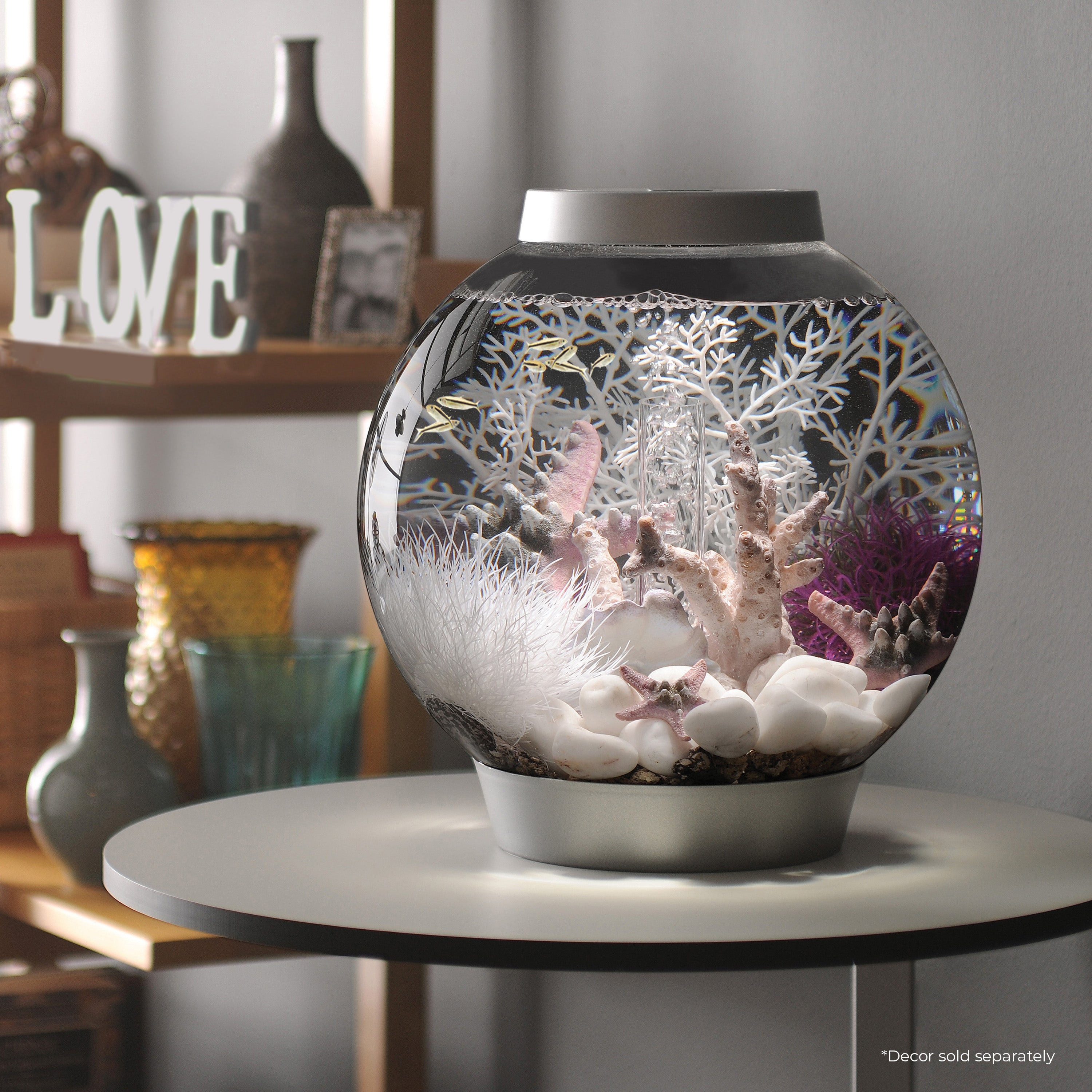 CLASSIC 15 Aquarium with Standard White LED Light - Silver In Use