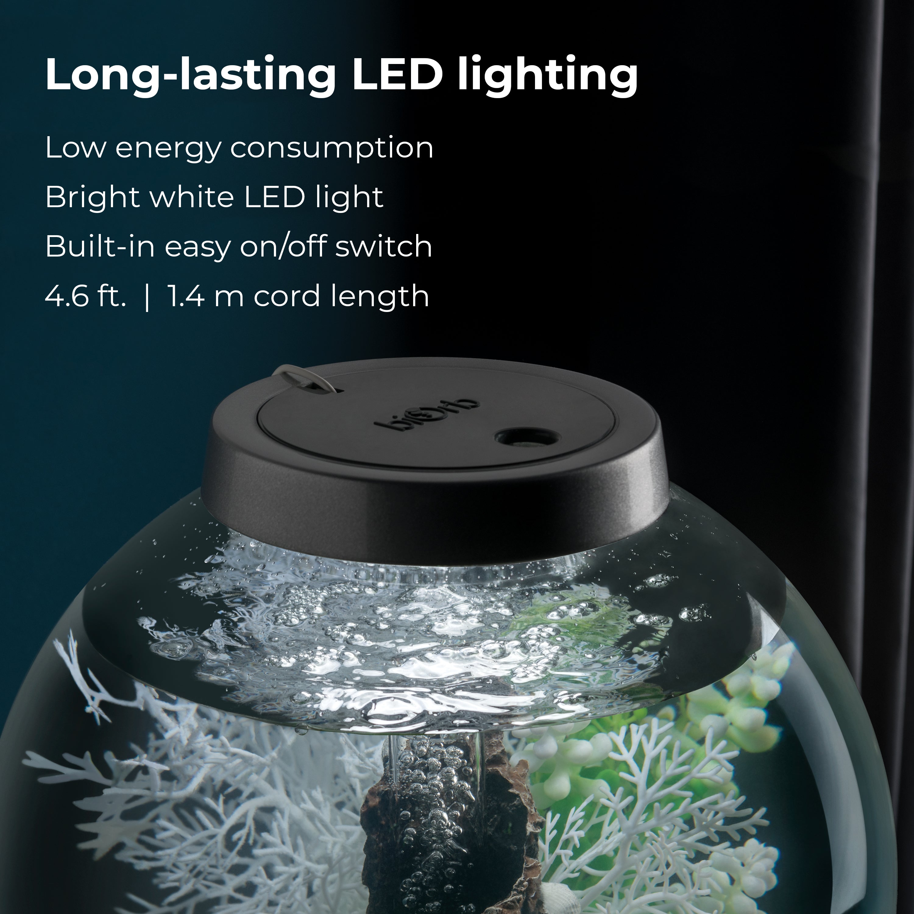 CLASSIC 15 Aquarium with Standard White LED Light - Long-lasting LED lighting