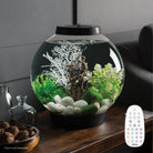 CLASSIC 15 Aquarium with Multi Colour LED Light - Black In Use