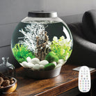 CLASSIC 15 Aquarium with Multi Colour LED Light - Silver In Use