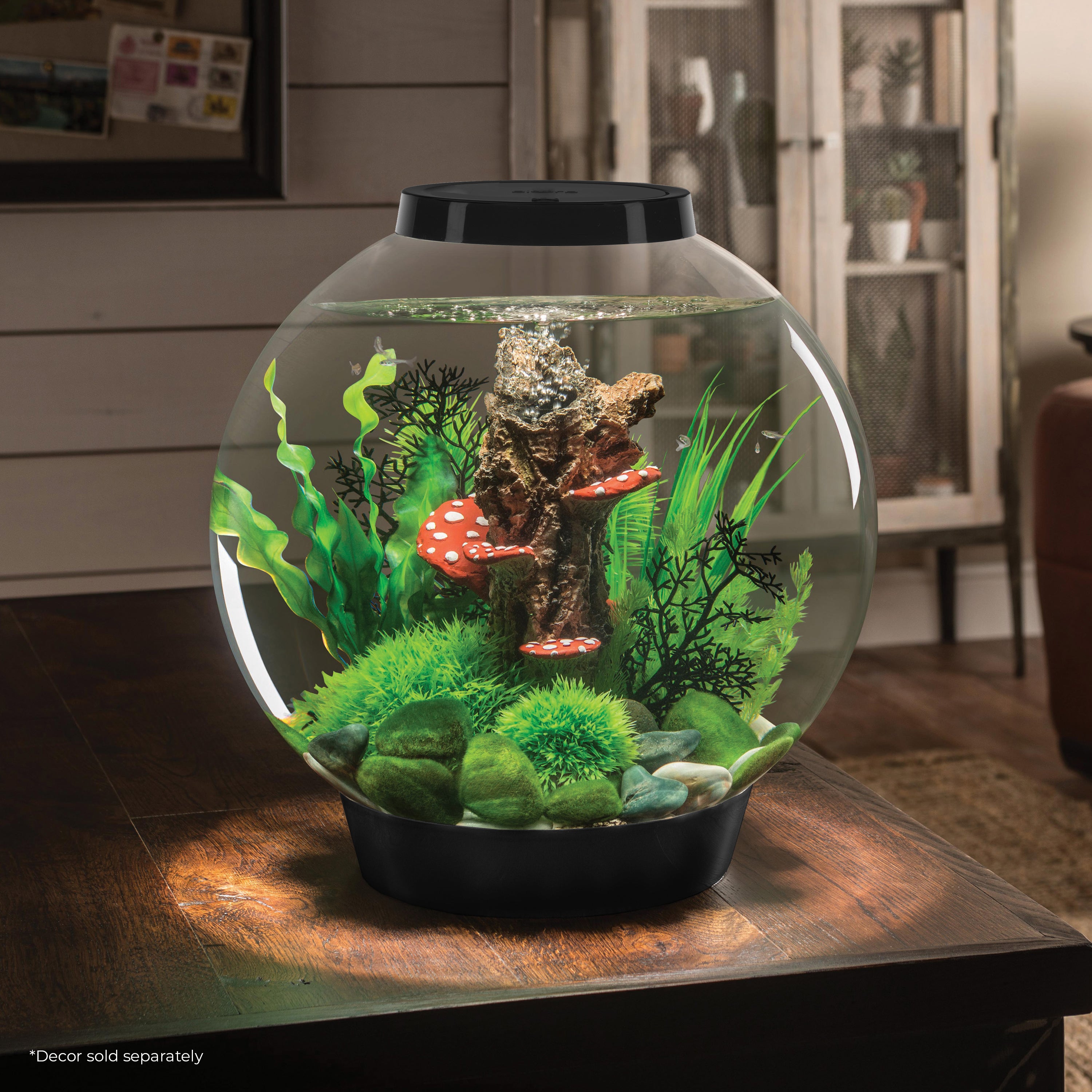 CLASSIC 30 Aquarium with Standard White LED Light – biOrb