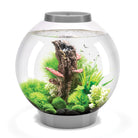 CLASSIC 30 Aquarium with Standard White LED Light - Silver
