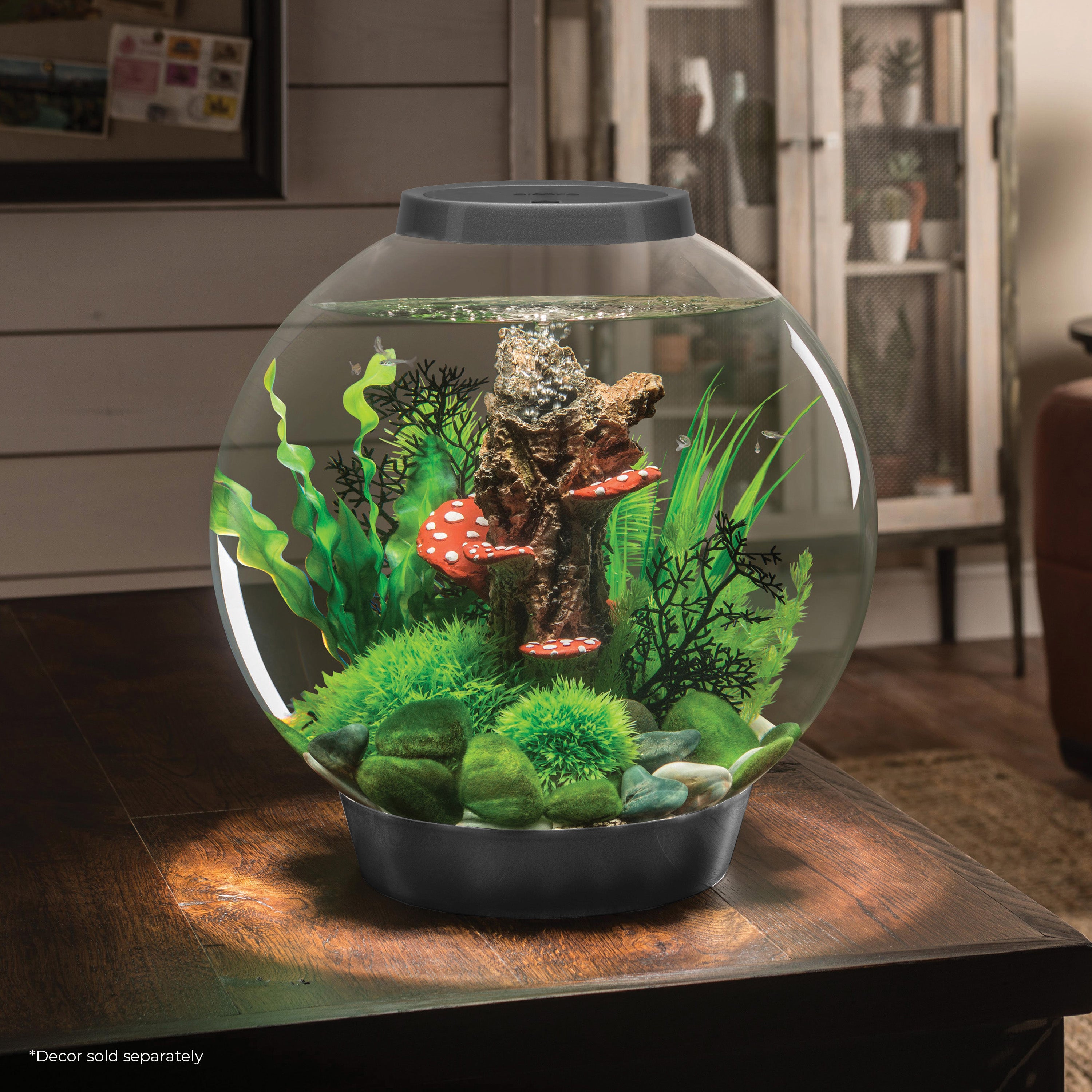 CLASSIC 30 Aquarium with Standard White LED Light – biOrb