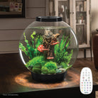 CLASSIC 30 Aquarium with Multi Colour LED Light - Black In Use