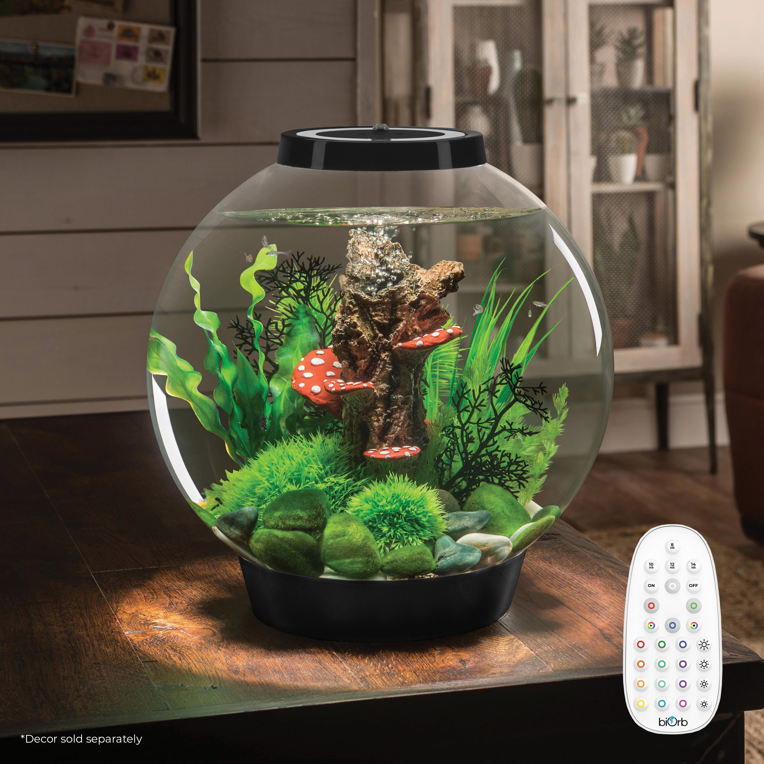 CLASSIC 30 Aquarium with Multi Colour LED Light - Black In Use